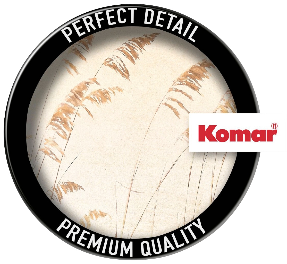 Komar Vliestapete »Digitaldruck Vlies -  Dune Grass - Grösse 400 x 250 cm« bedruckt glatt Wohnzimmer, Schlafzimmer