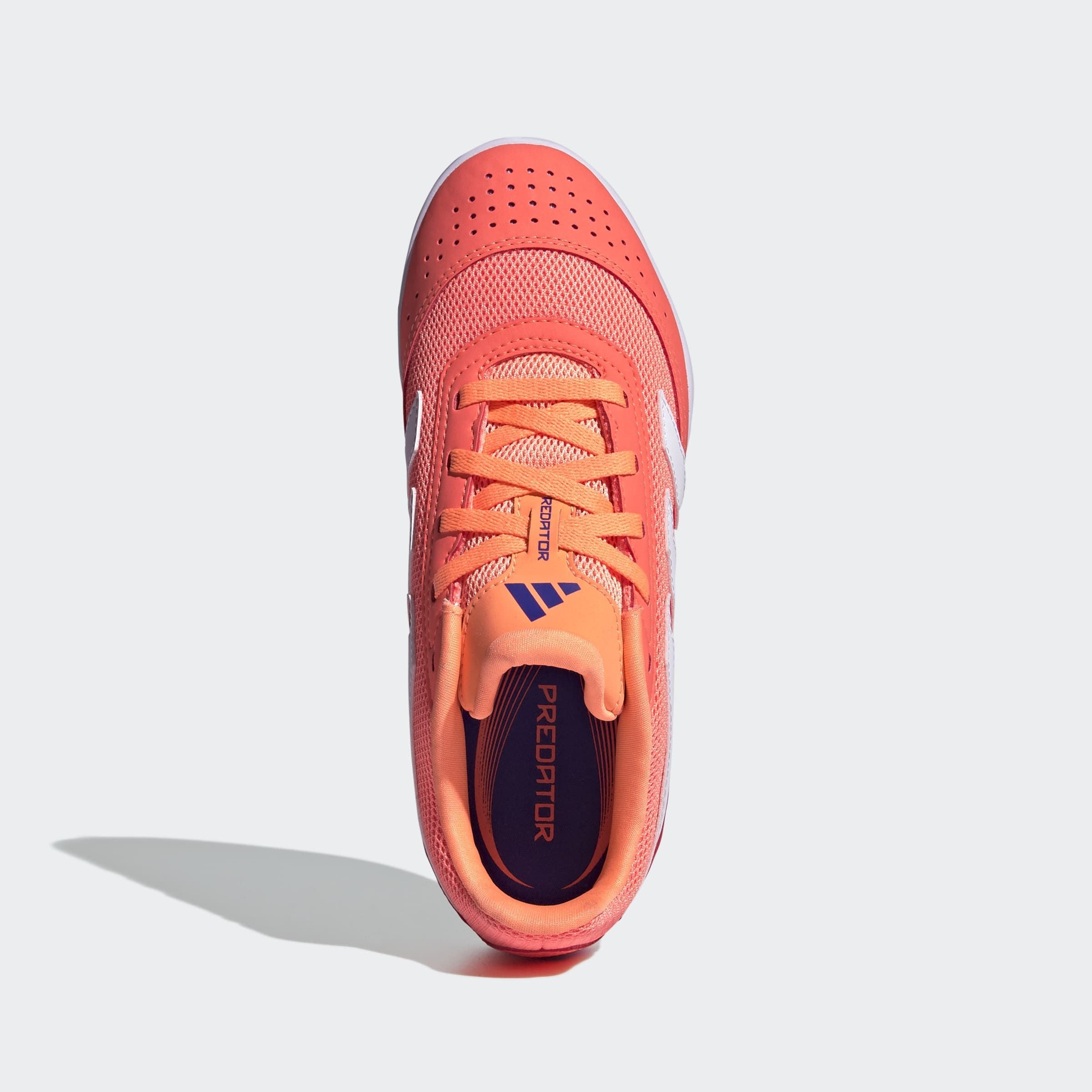 adidas Performance Chaussure de football »PREDATOR CLUB INDOOR SALA  KINDER«  adapté comme chaussure de salle, pour enfants et adolescents