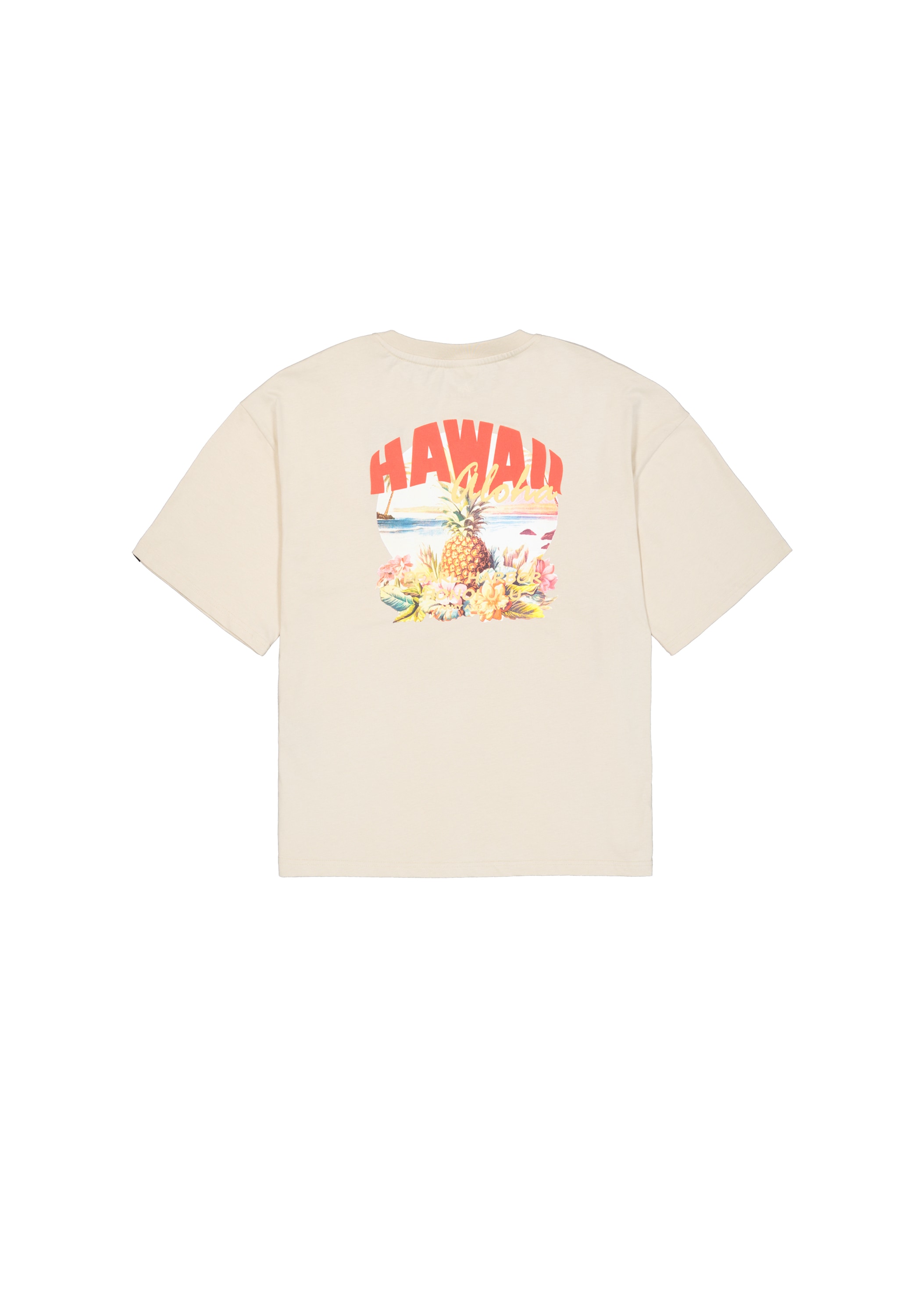 Alpha Industries T-Shirt »Hawaii Aloha Backprint T-Shirt«