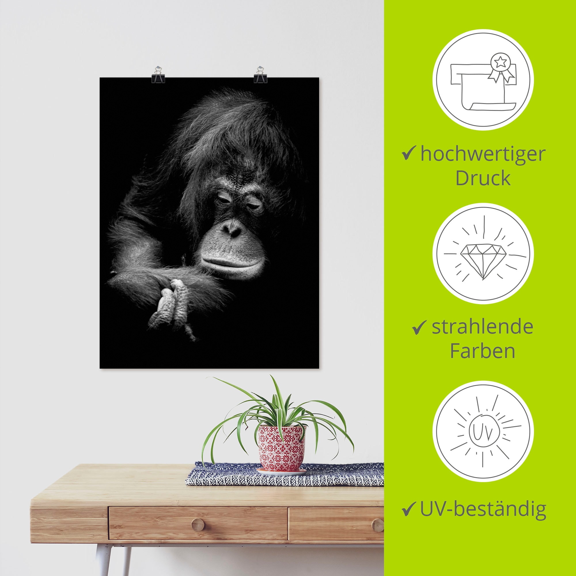 Artland Poster »Der nachdenkliche Orang Utan« Images de singes 1 cuis tlg. ohne Rahmen