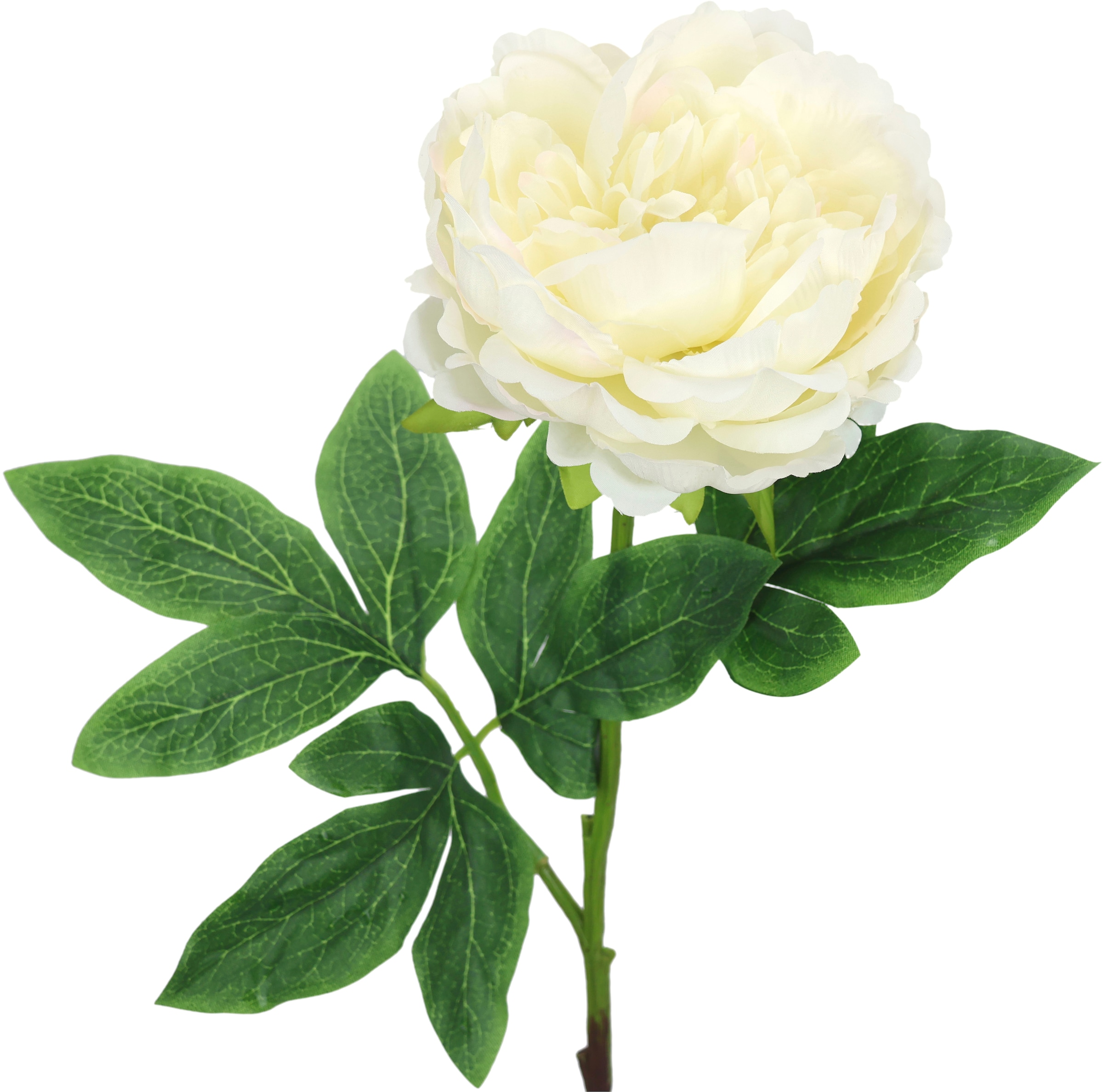 I.GE.A. Kunstblume »Päonie Bauernrose« Pfingstrosen Einzelblume, 3er Set