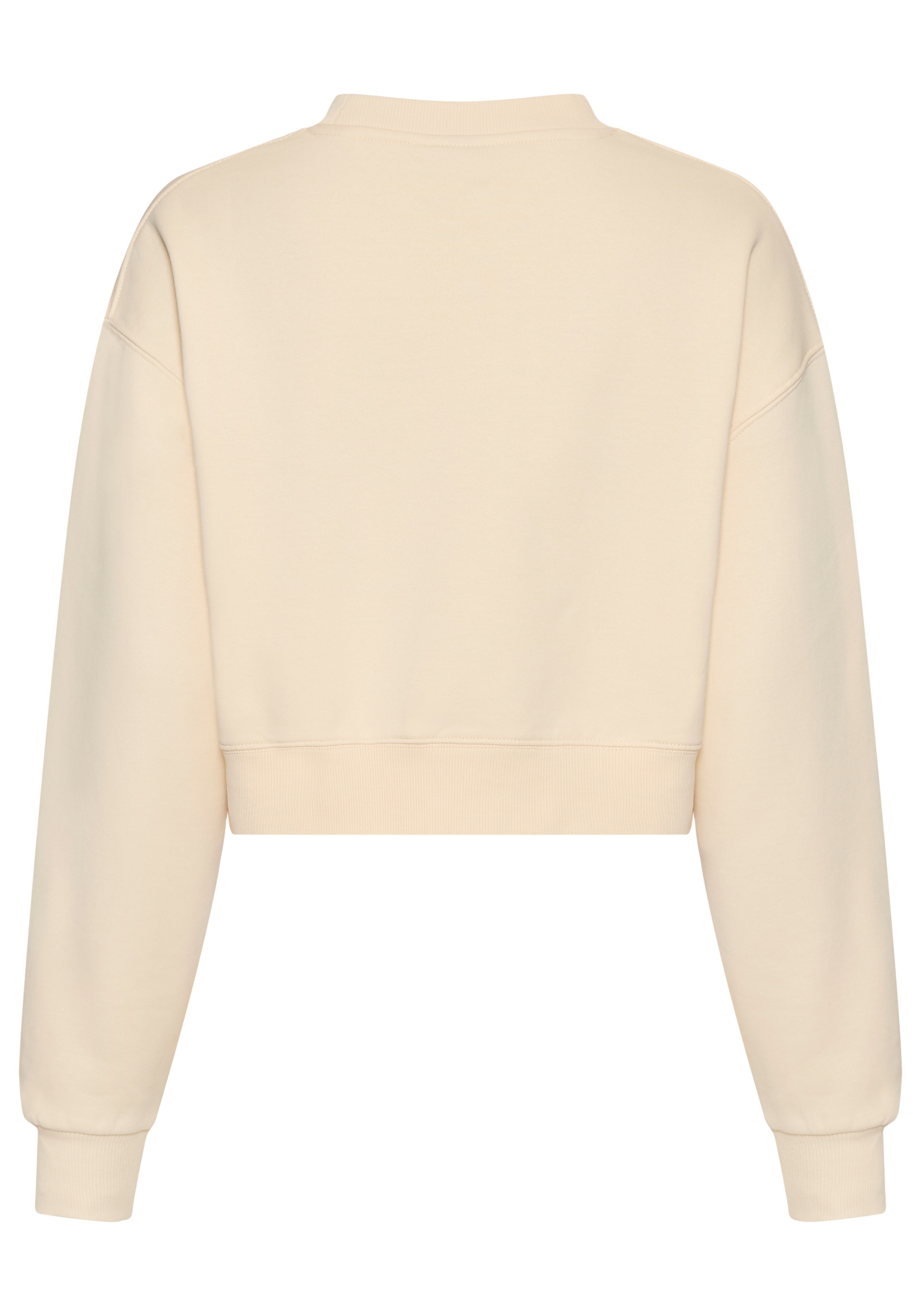 Santa Cruz Sweatshirt »WINKOWSKI 8BALLER STRIP CREW«