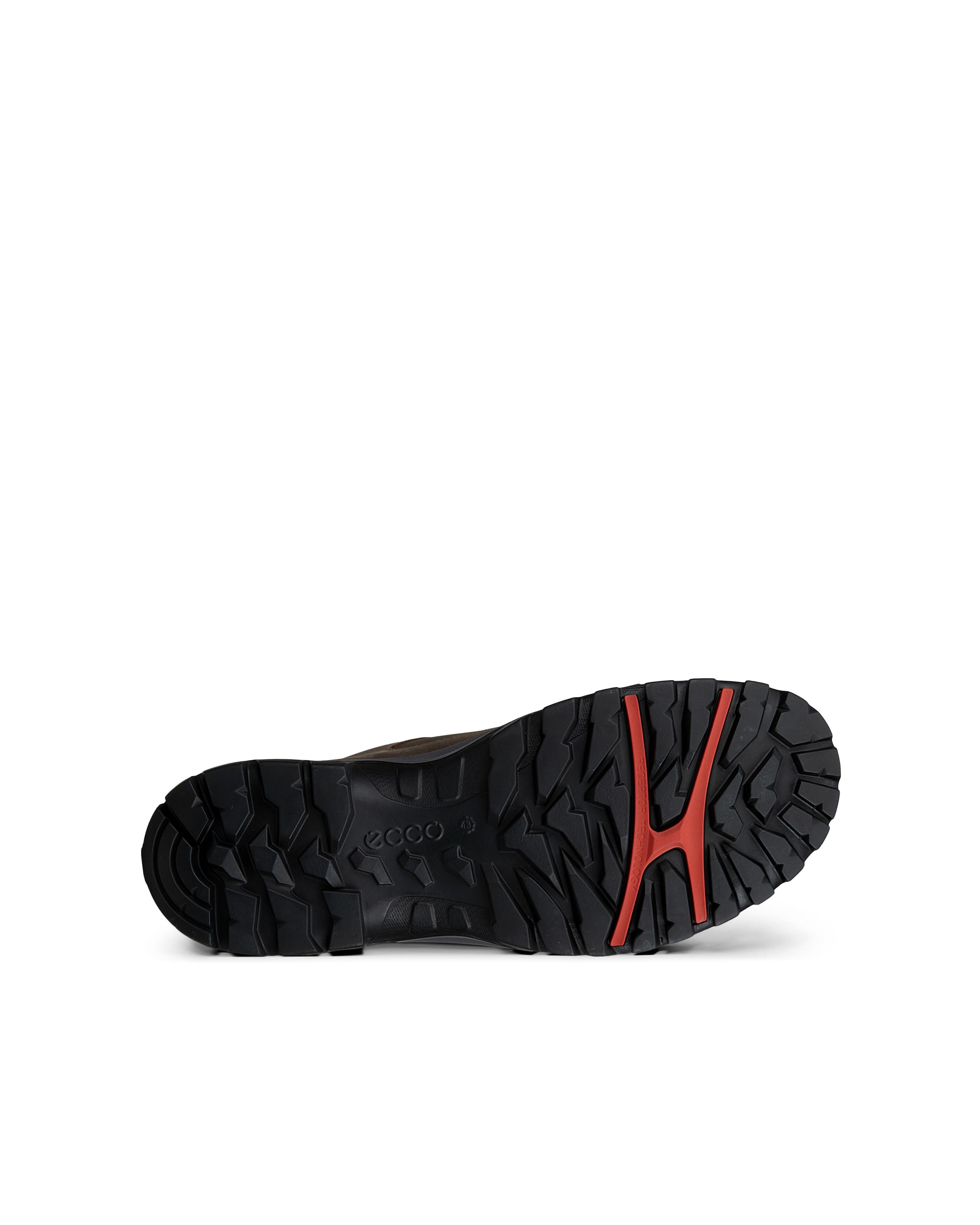Ecco Outdoorschuh »ECCO RECEPTOR TREKK«  Wanderschuh, Halbschuh, Schnürschuh mit waterproof