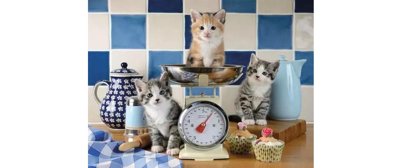 Ravensburger Puzzle »Kätzchen in der Küche« Made in Germany