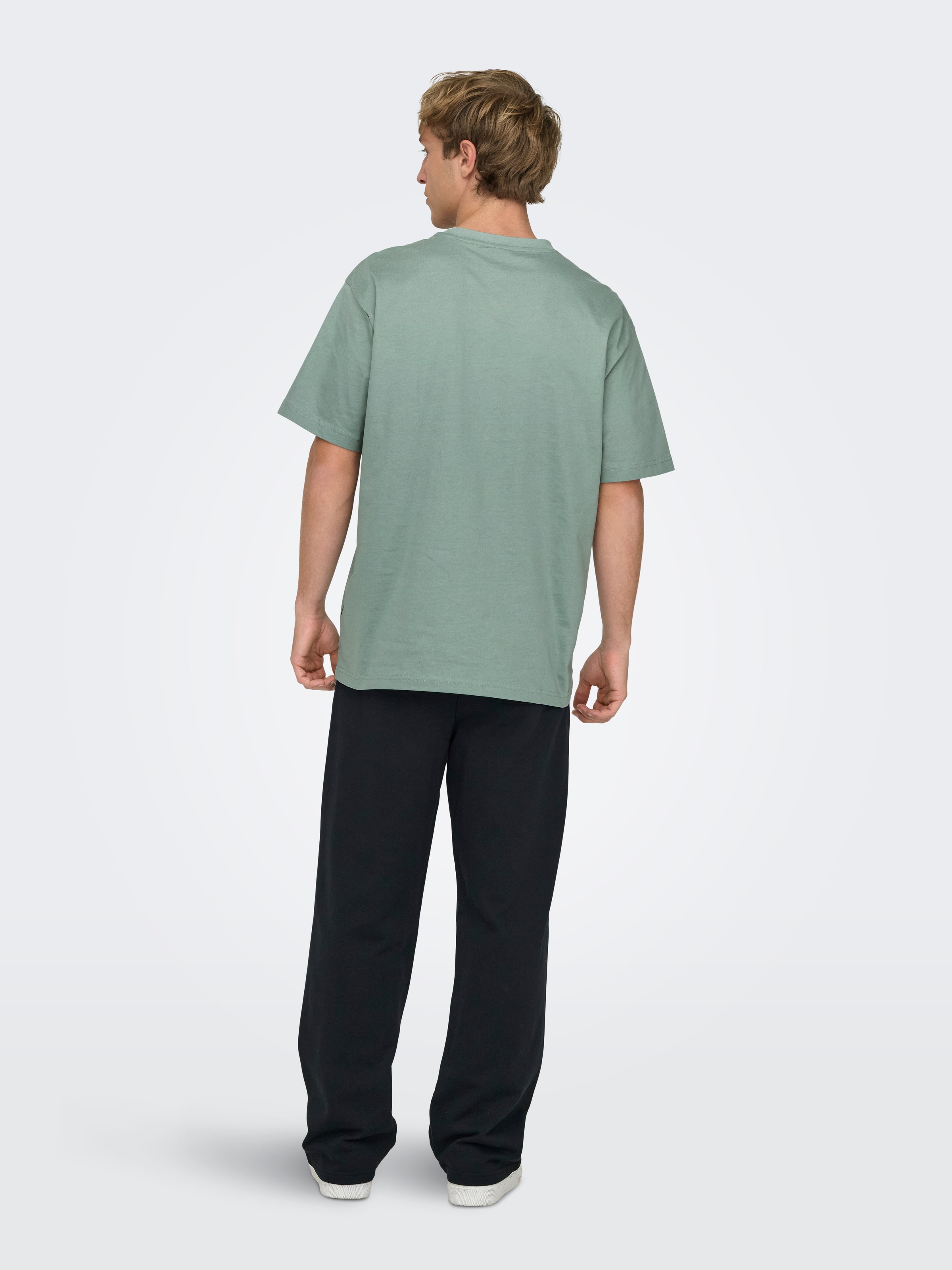 ONLY & SONS T-Shirt »ONSFRED LIFE RLX SS TEE NOOS«