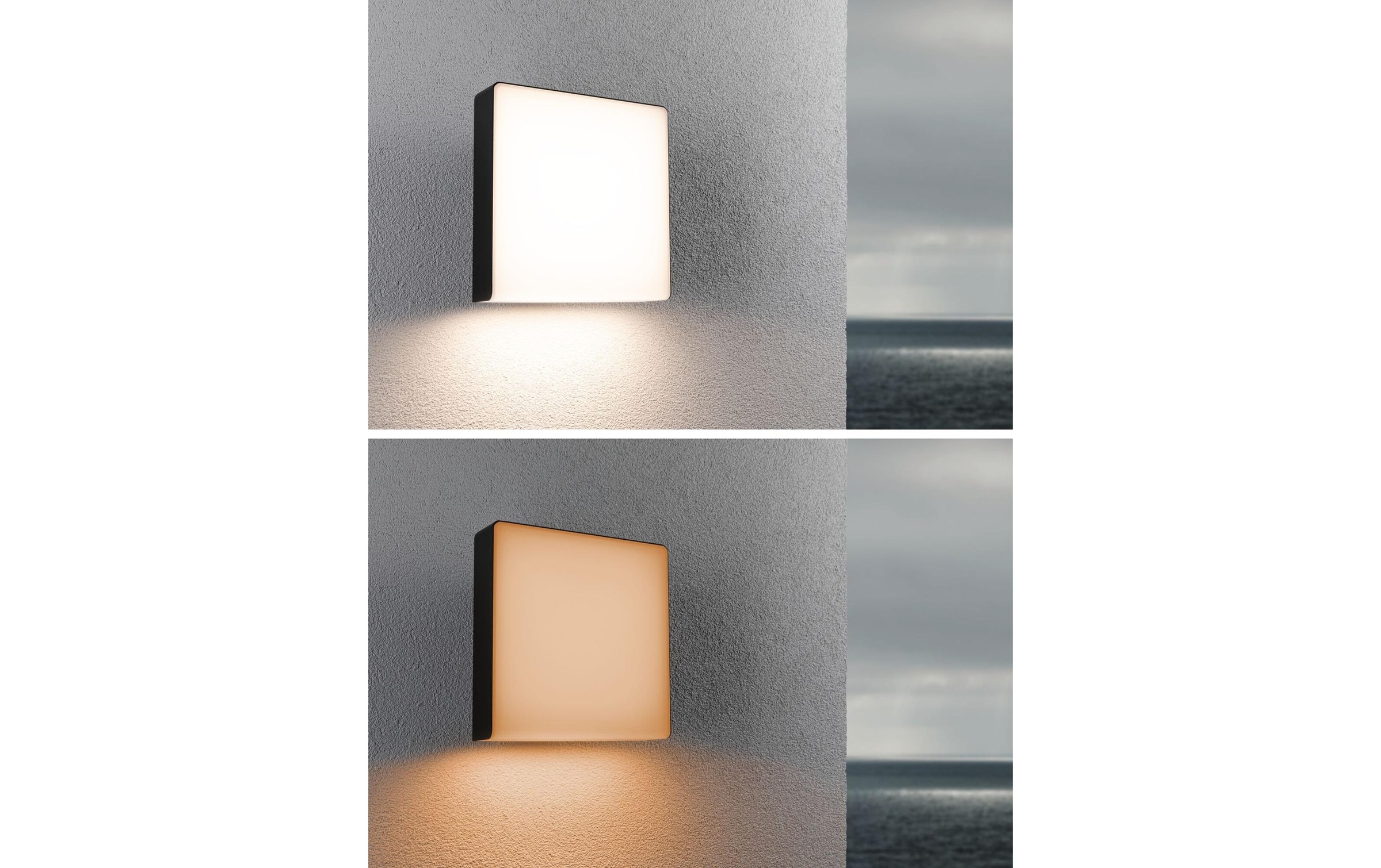 Paulmann Lampe murale extérieure »LED Aussenwandleuchte Azalena, Smart Home Zigbee 3.0« Module LED blanc chaud