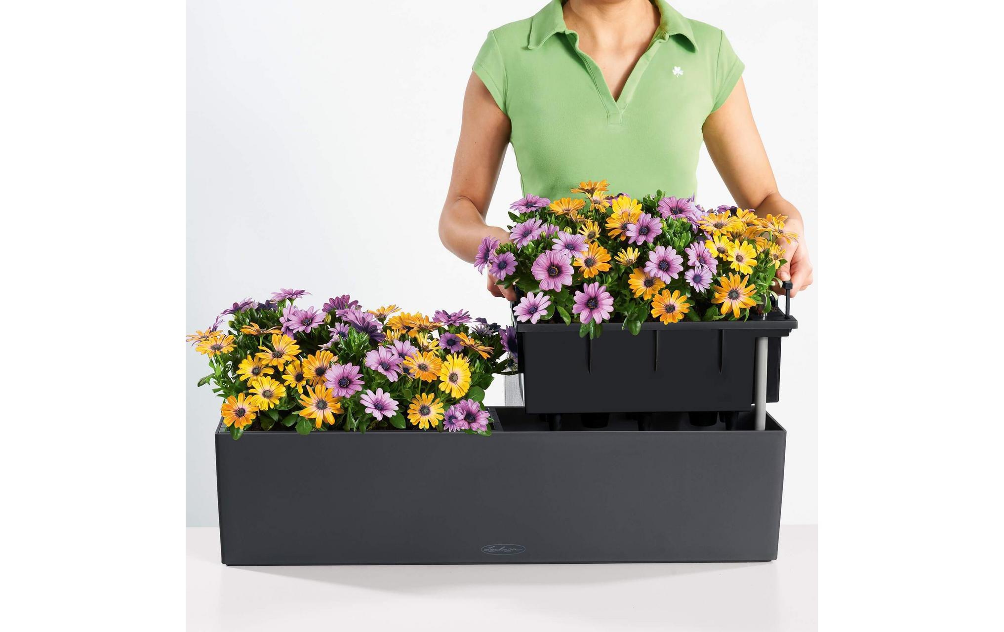   Übertopf »Balconera Color Braun«