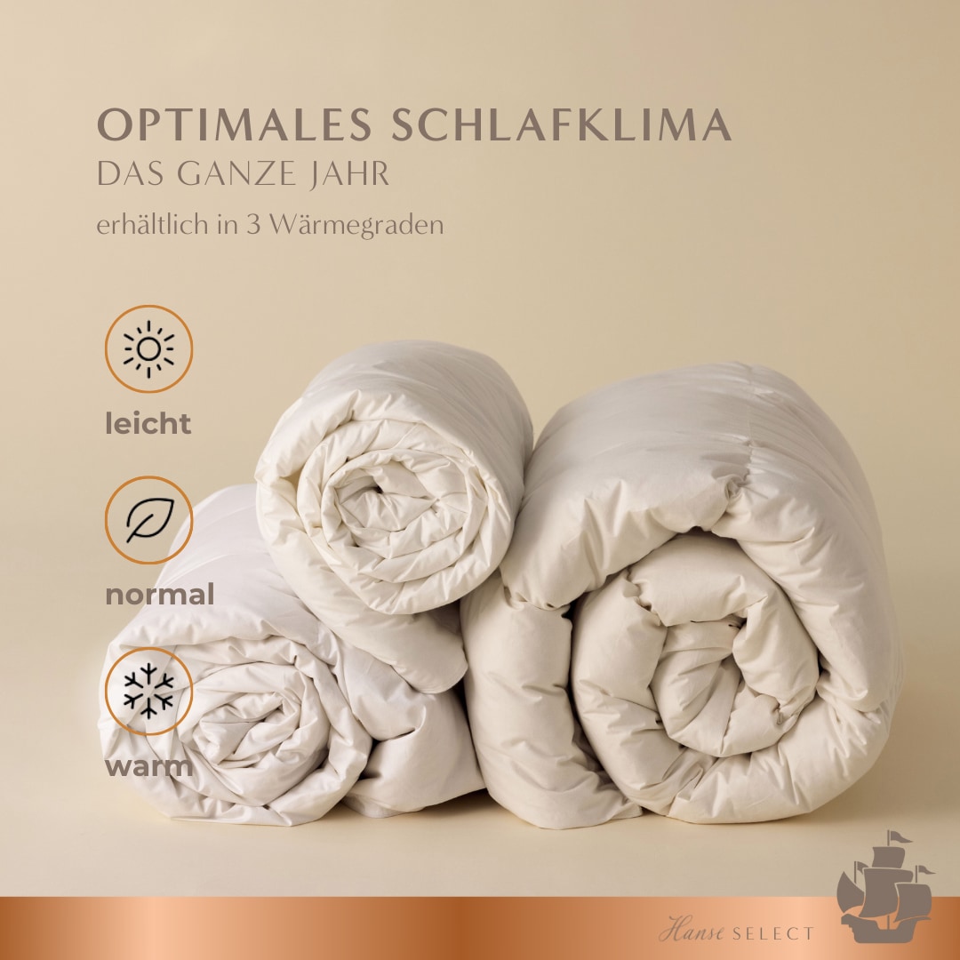 Hanse mit Kogge Microfaserbettdecke »Hanse Select federfrei, Luxushotel, Ganzjahresdecke, Made in Germany« normal Füllung 100% hochwertige 6D-Hohlfaser 1 Stk. tlg. hochwertige Bettdecke 135x200 cm, 155x220 cm & weitere Grössen