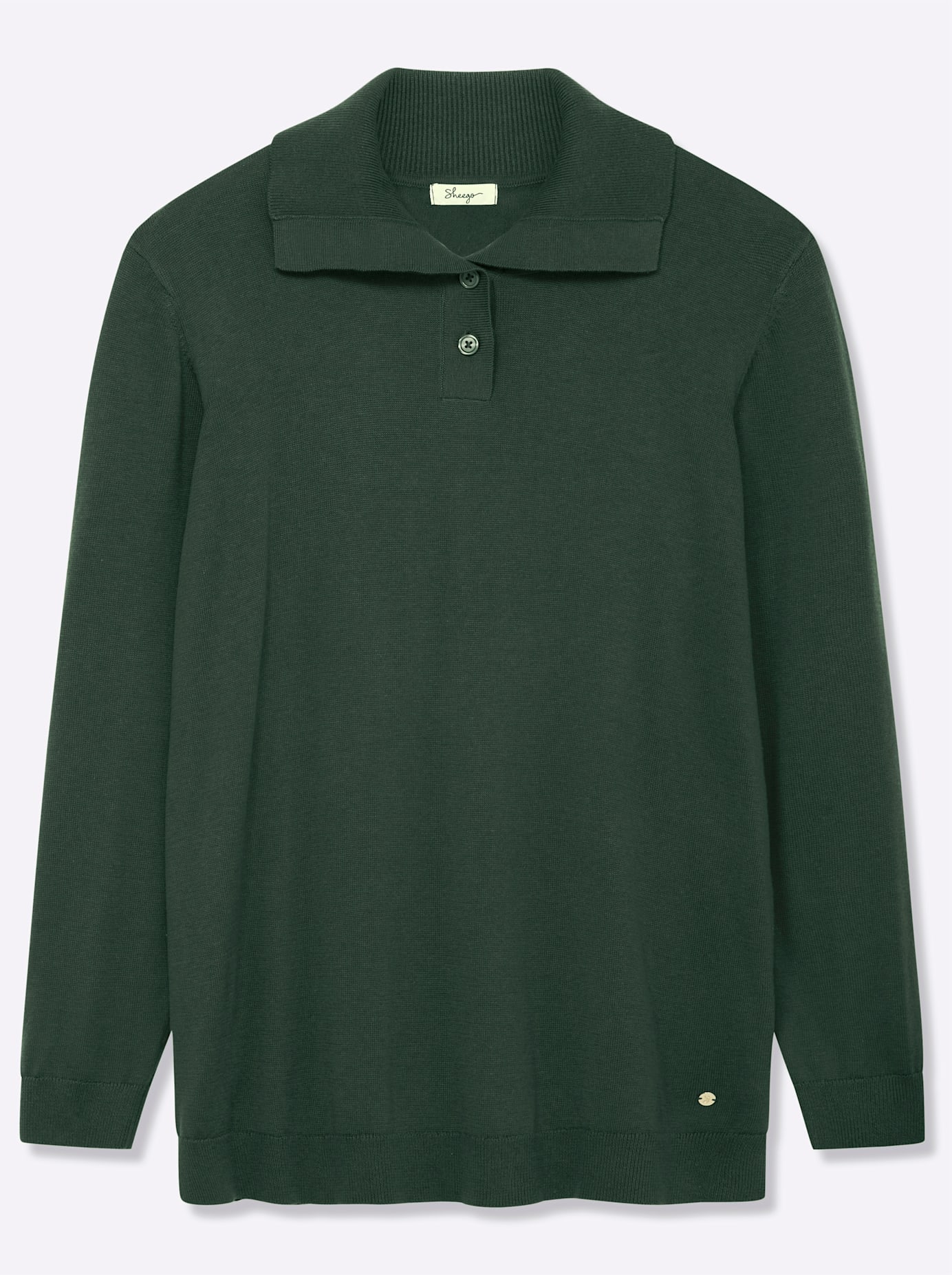 Sheego Rollkragenpullover »Pullover«