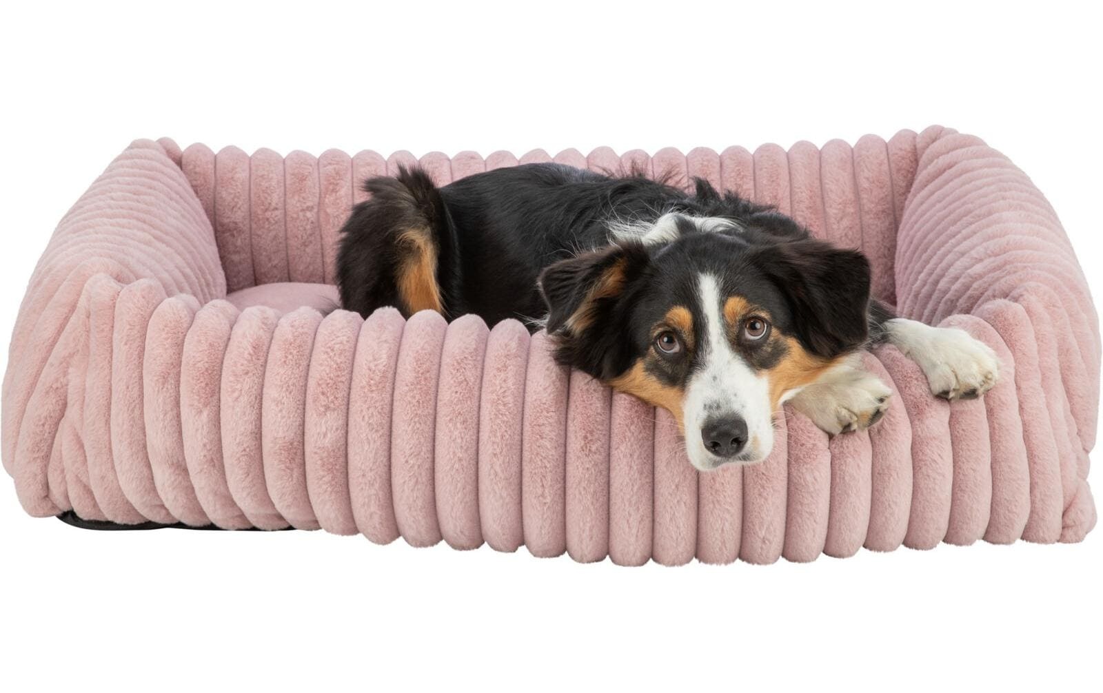 TRIXIE Hundebett »Lonni 65 x 50 cm«