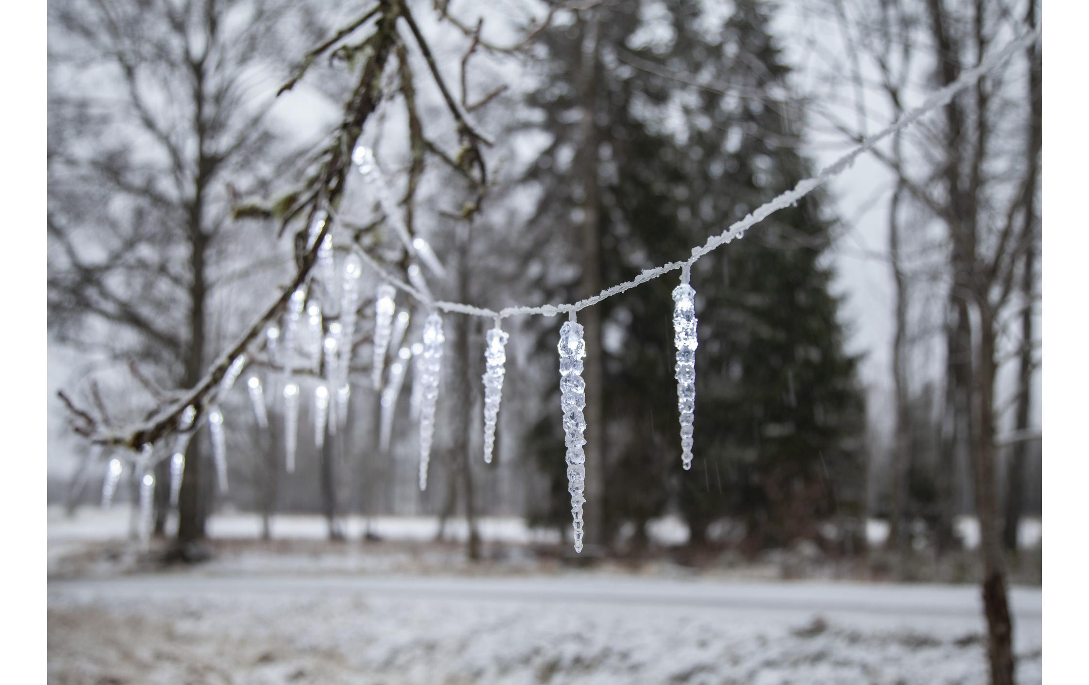 Parforce Traditional Hunting LED-Lichtervorhang »Trading LED-Lichtervorhang Gel« 40 Stk.-flammig