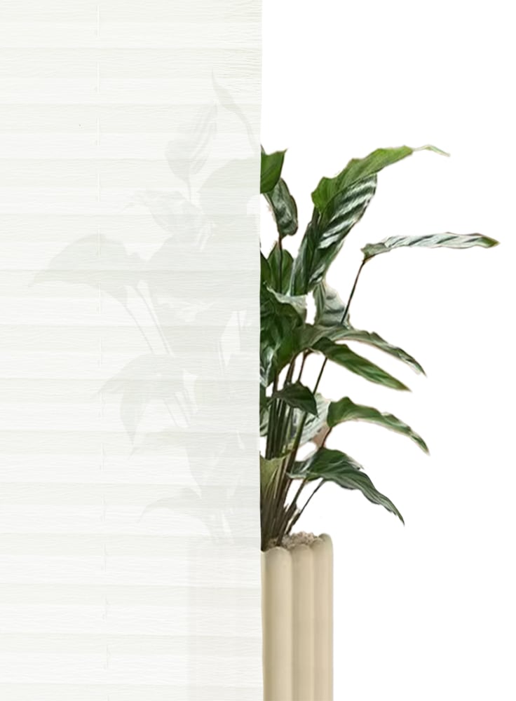 GOODproduct Plissee »ZANNIE« Lichtschutz ohne Bohren verspannt mit feiner Linienstruktur – stilvoll und zeitlos - NEUHEIT!