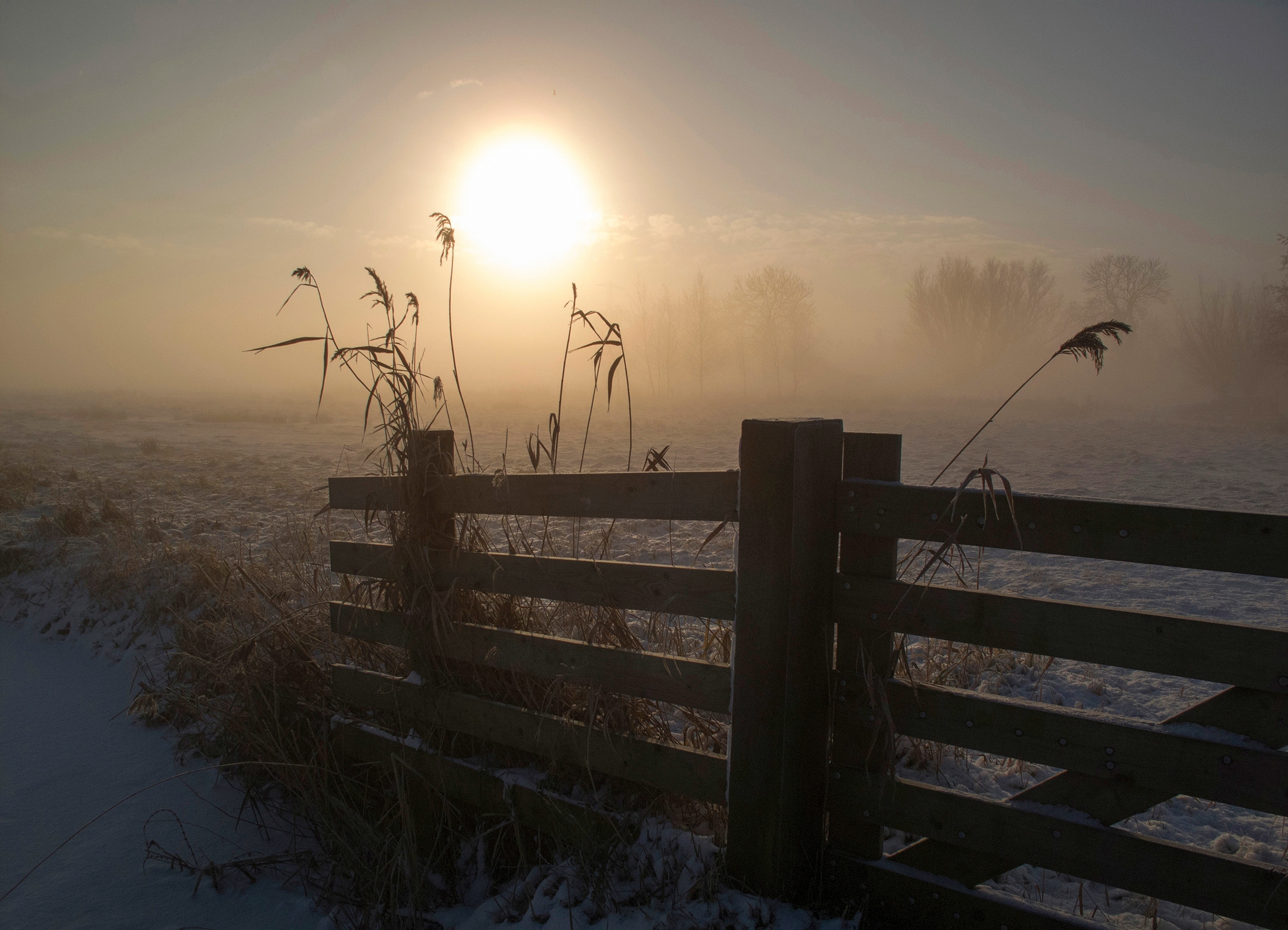 Papermoon Papier peint photo »Photo-Art  ALIDA VAN ZAANE, WINTERSTIMMUNG«