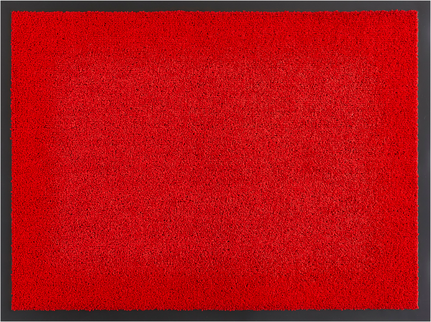 GOODproduct Tapis de sol »Emil, Made in Netherlands« Rectangulaire 6 mm Höhe tapis d'entrée, couleurs unies, antidérapant, lavable (lavage à la main)