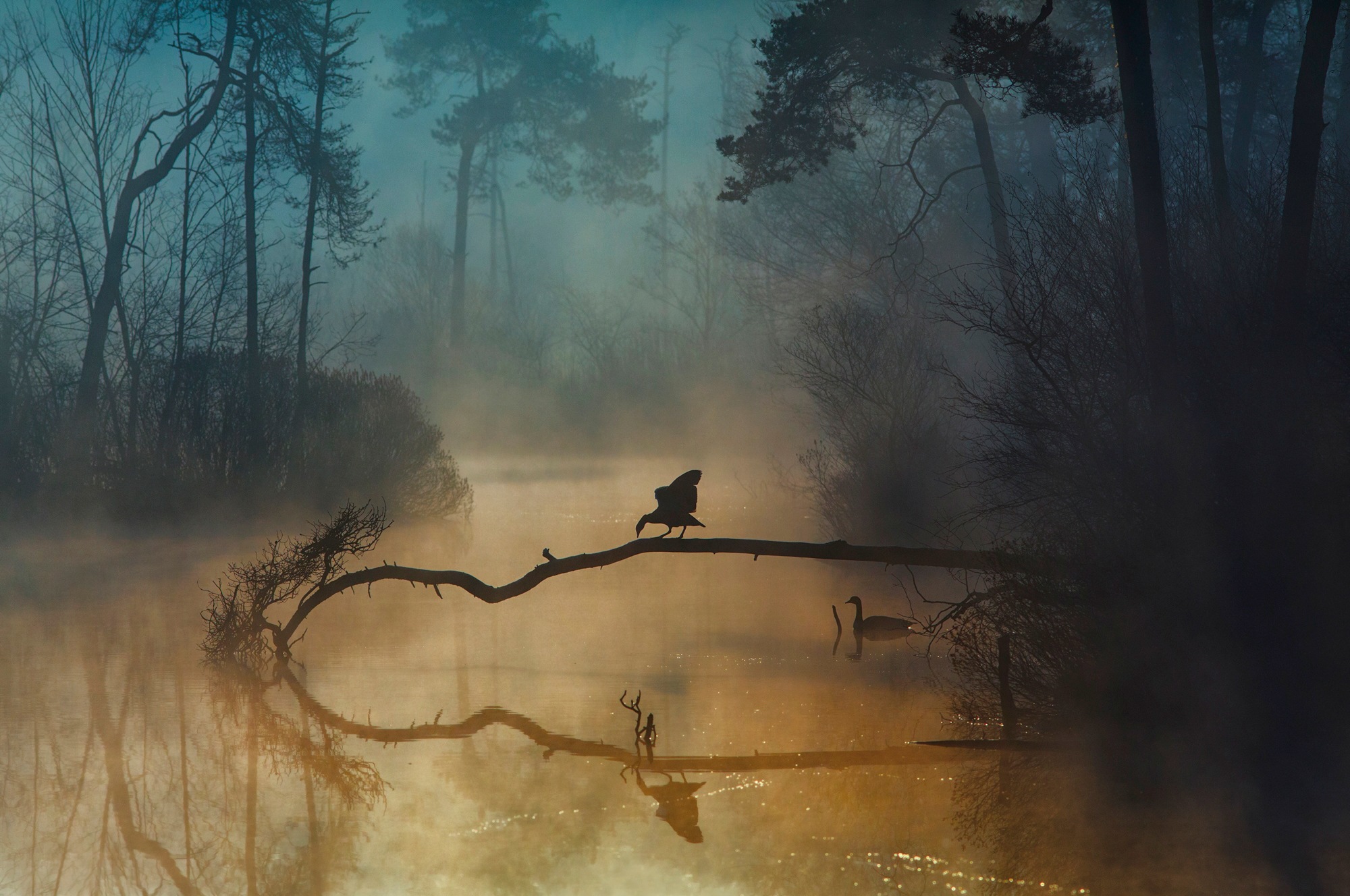 Papermoon Papier peint photo »Photo-Art  ANTON VAN DONGEN, BLAUE STUNDE«