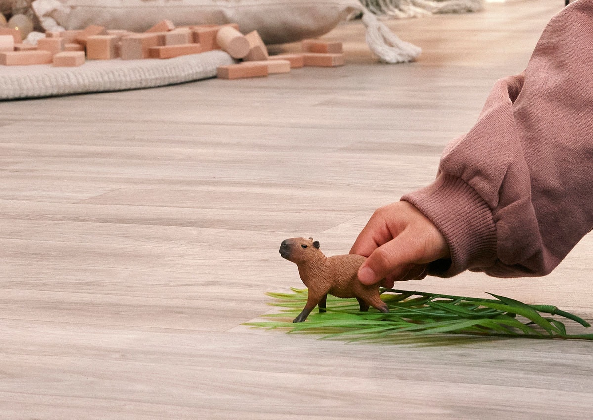 Schleich® Personnage de jeu »WILD LIFE, Capybara (14934)«