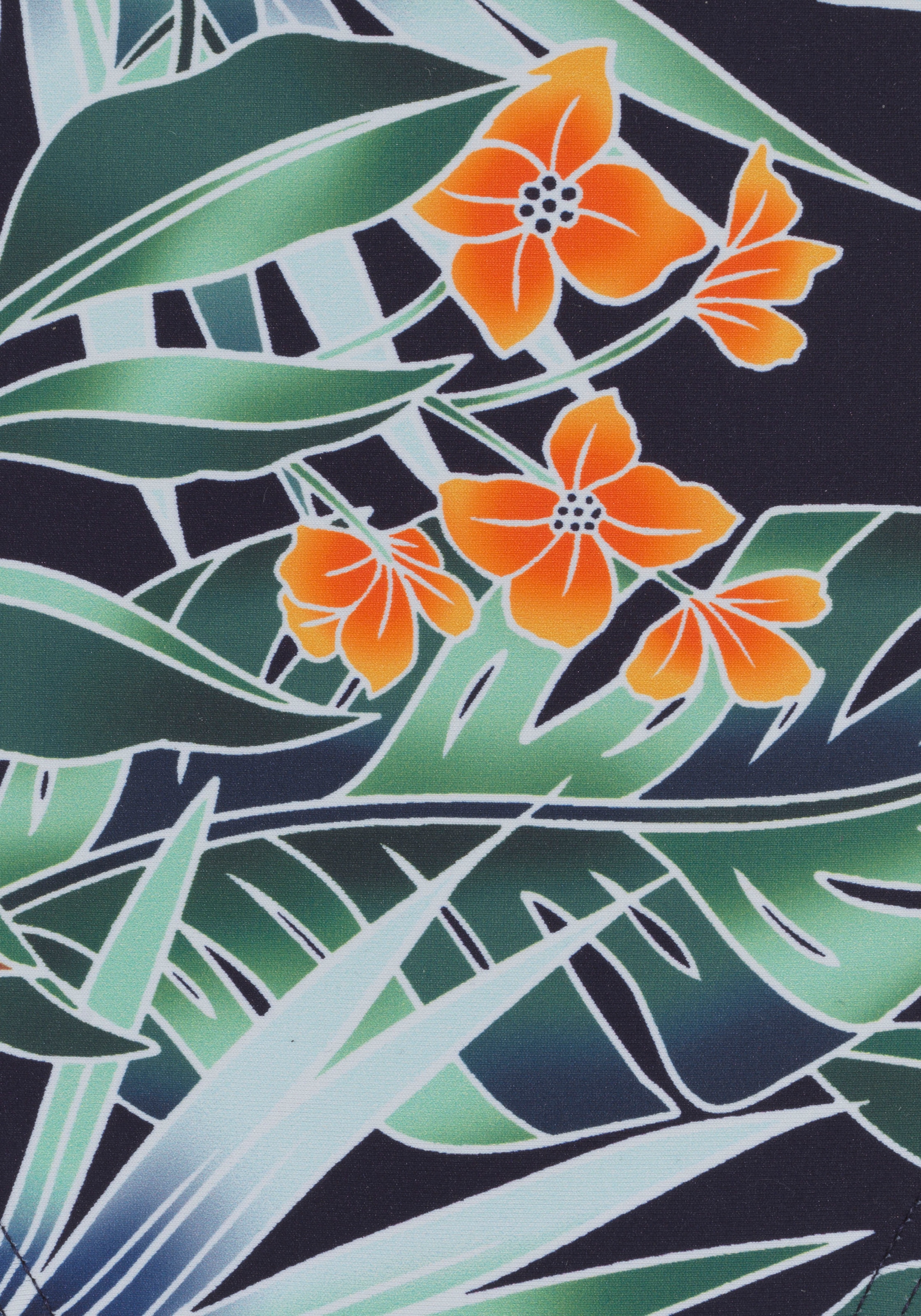 Sunseeker Pantalon de bikini »Elife« Tropischer Print