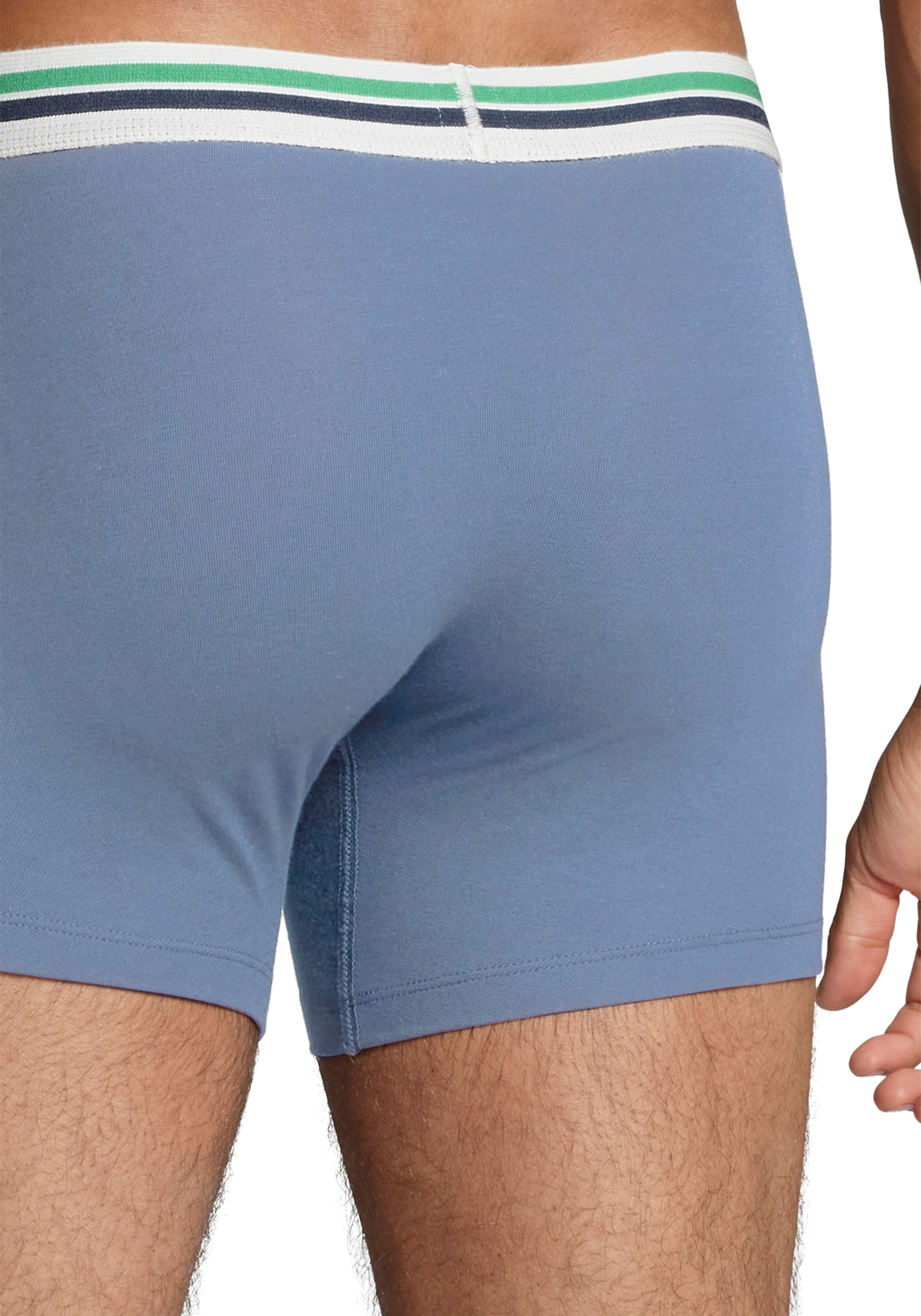 Levi's® Langer Boxer Packung, 2er-Pack,  mit Logo-Webbund