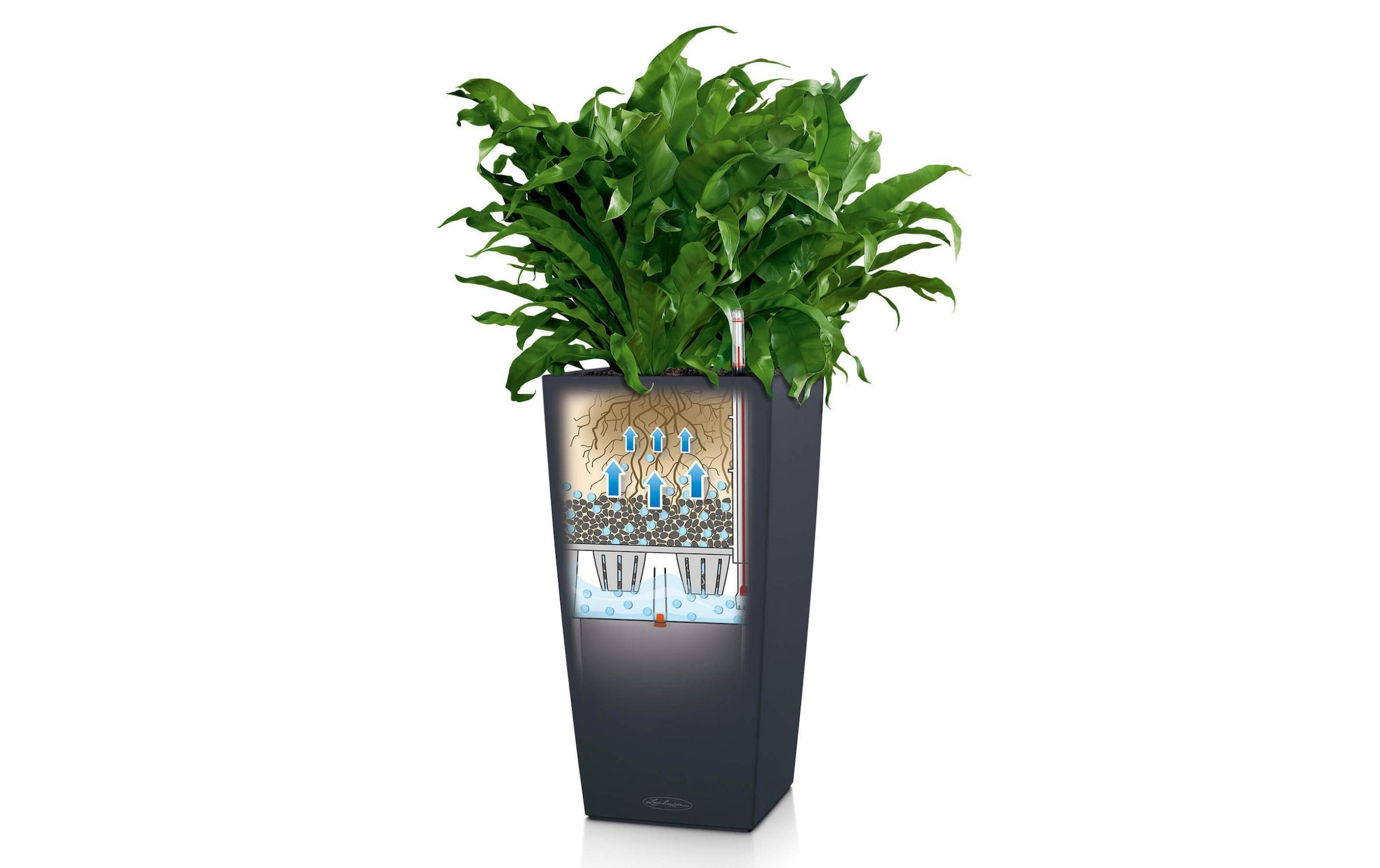   Blumentopf »Lechuza Cubico Color 22 Dunkelgrau«