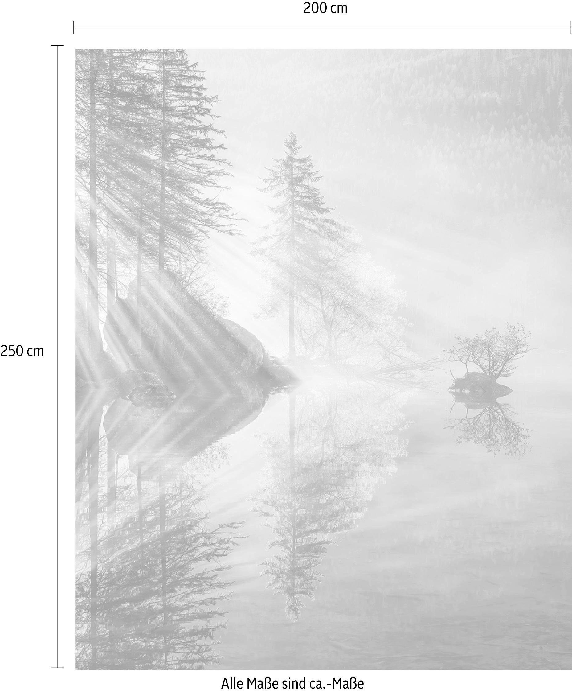 Komar Papier peint intissé »Digitaldruck Vlies -  Indulgence of Beauty - Grösse 200 x 250 cm« imprimé Wohnzimmer, Schlafzimmer