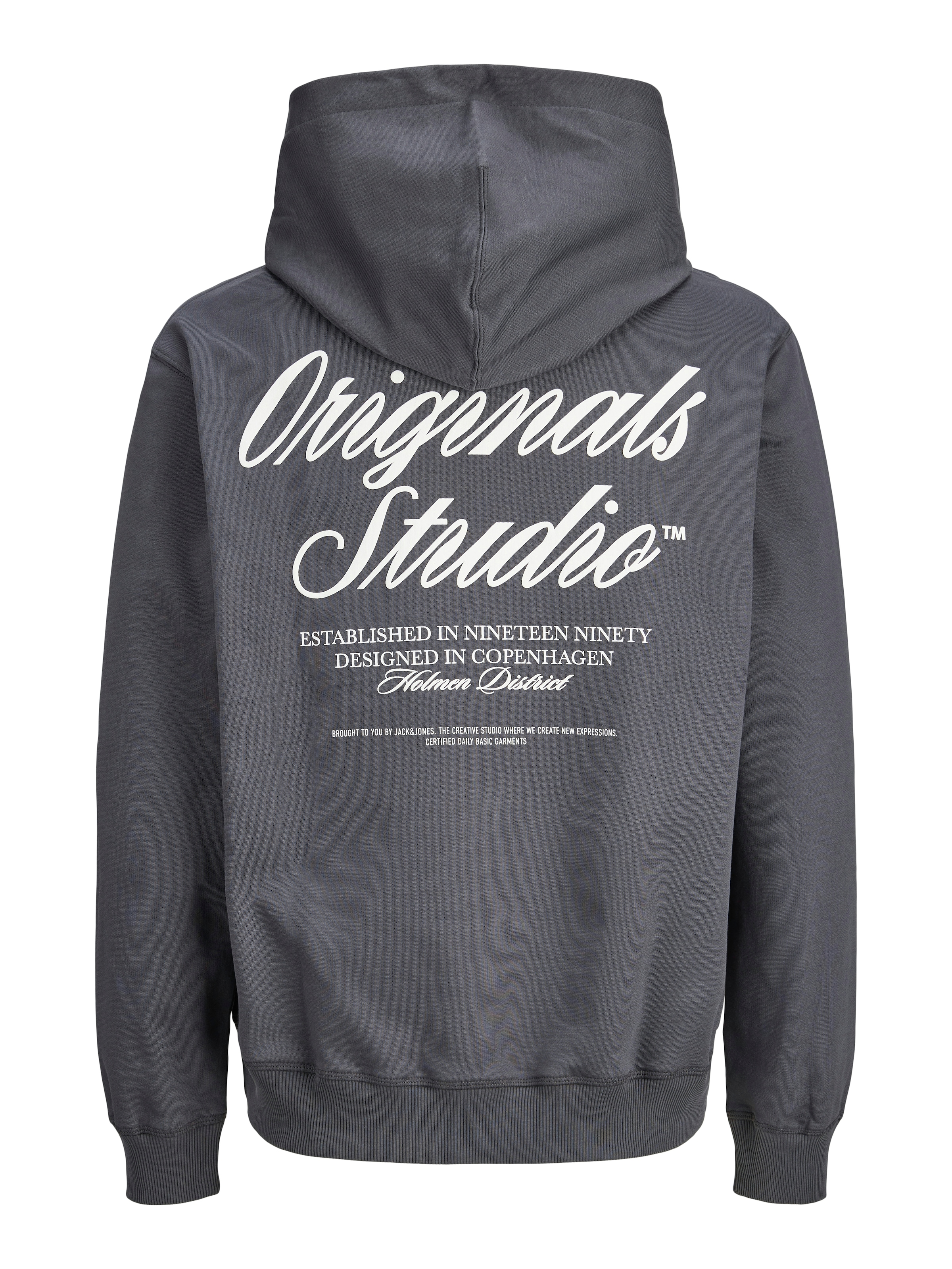 Jack & Jones PlusSize Kapuzensweatshirt »JORNORREBRO TYPO BACK SWEAT HOOD PLS«
