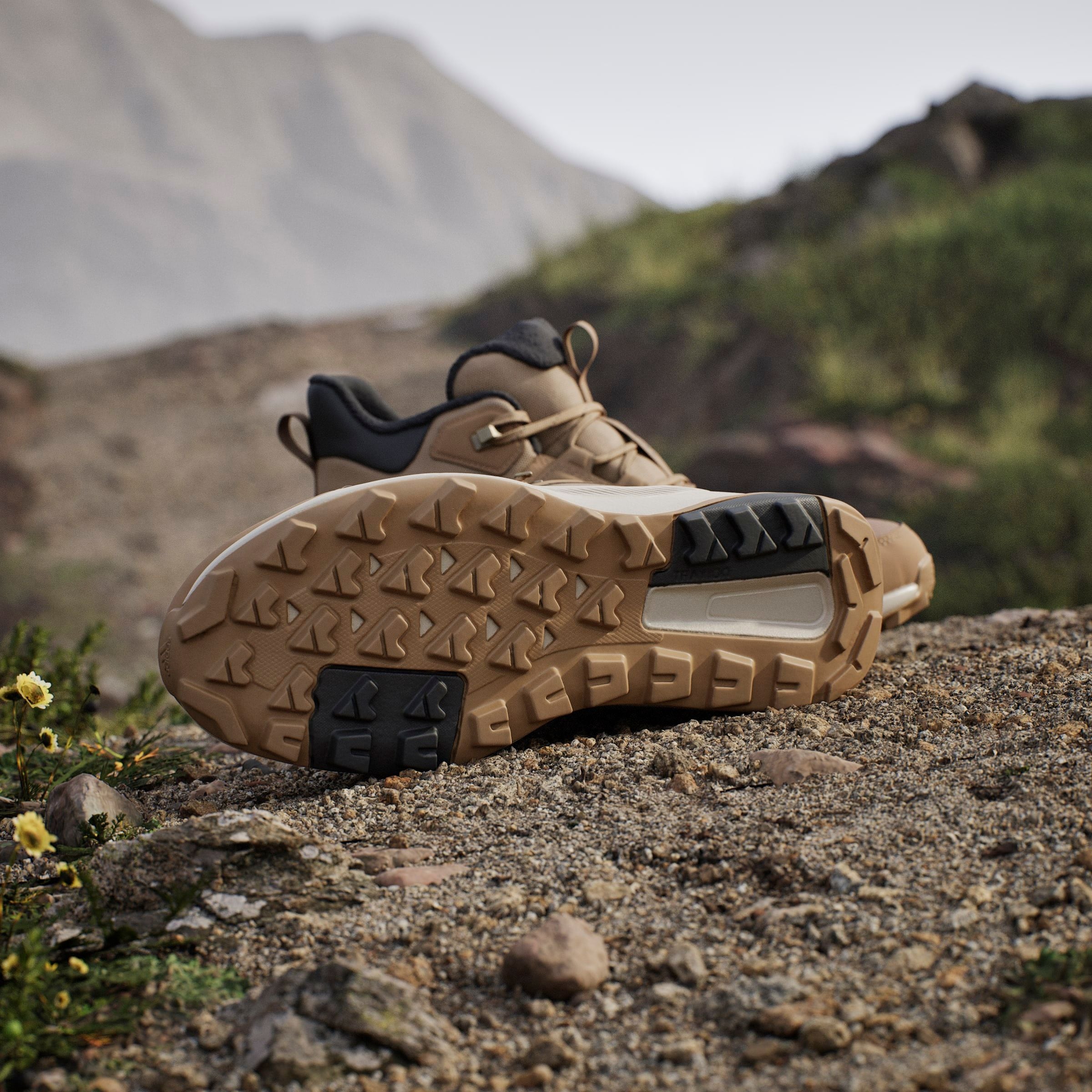 adidas TERREX Wanderschuh »TERREX ANYLANDER CLIMAWARM+ E«