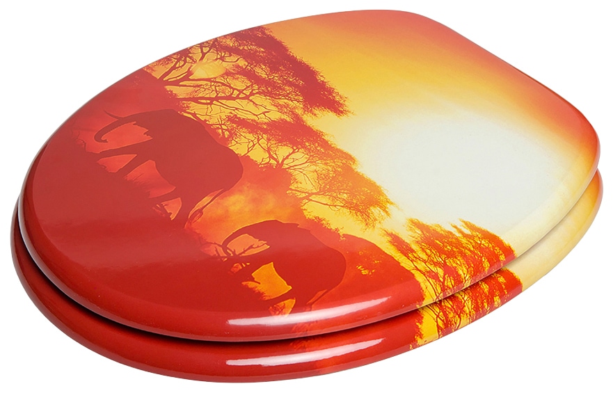 Sanilo WC-Sitz »Savanne« mit Absenkautomatik