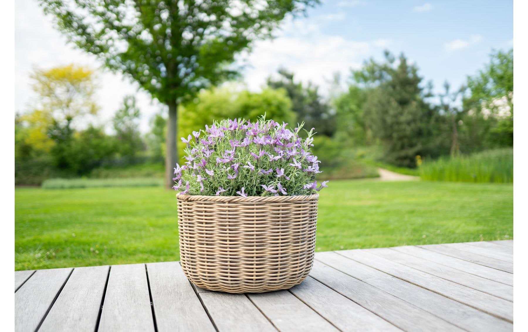   Pot de fleurs »CHALET Korb Chalet«