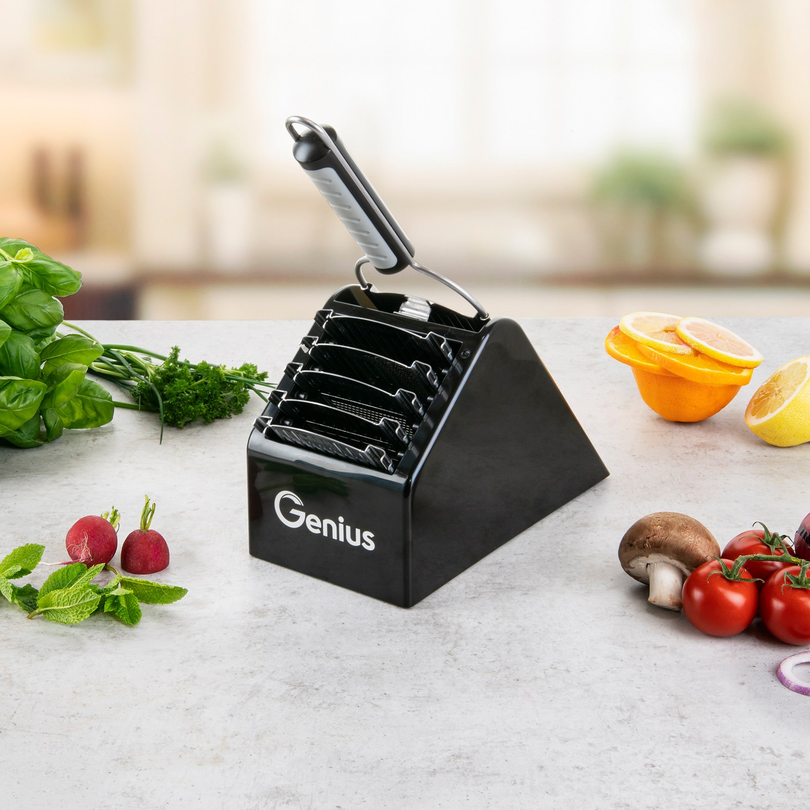 Genius Zubehöraufbewahrungsständer »Nicer Dicer Speed« zum platzsparenden Verstauen des Nicer Dicer Speed inkl. Zubehör