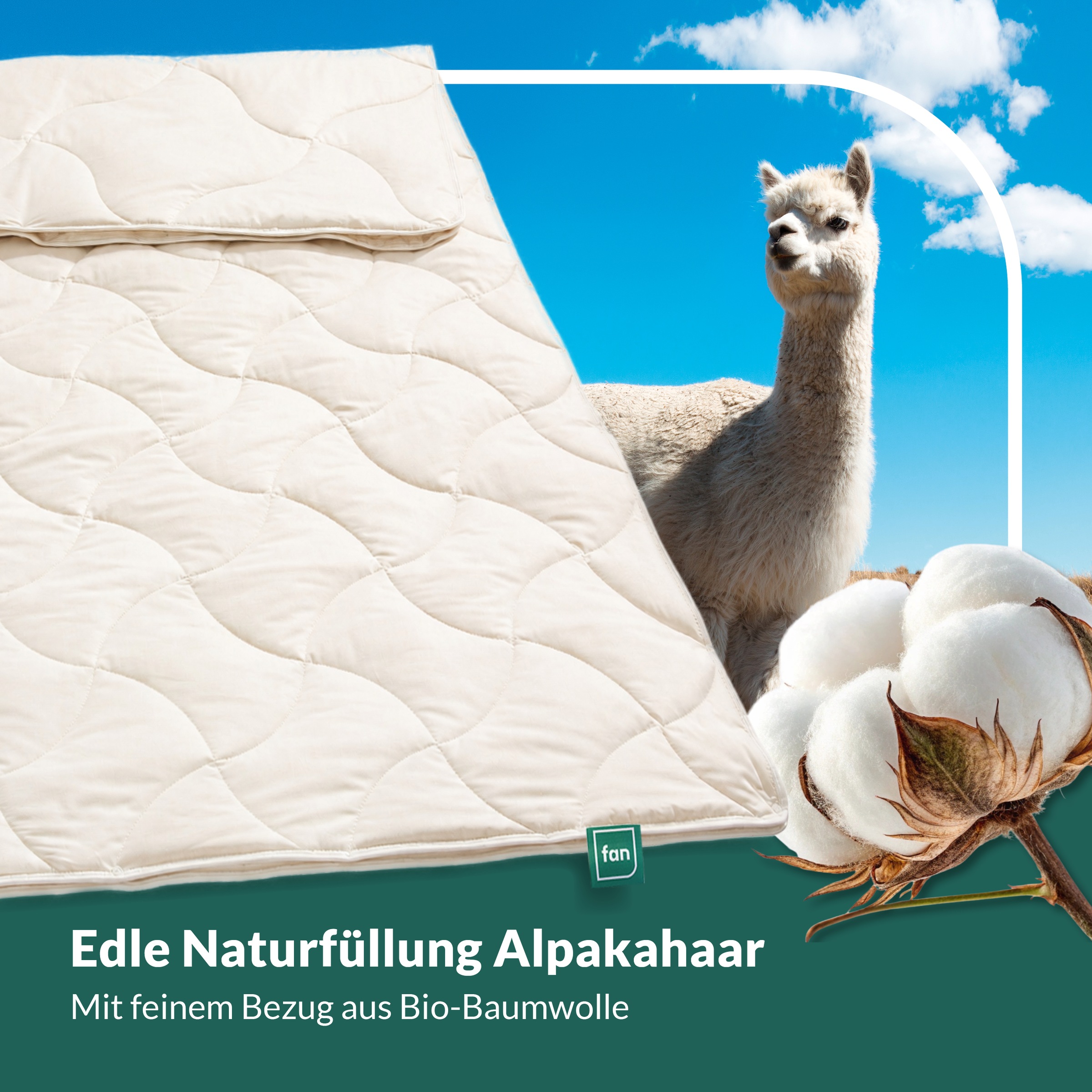 fan Couette en poils naturels »Baby Alpaka, Bettdecke in 135x200 und weiteren Grössen erhältlich« 4 saisons Füllung 97 % alpaga & 3 % autre fibre 1 cuis tlg. Couette en poils naturels fabriquée en Allemagne