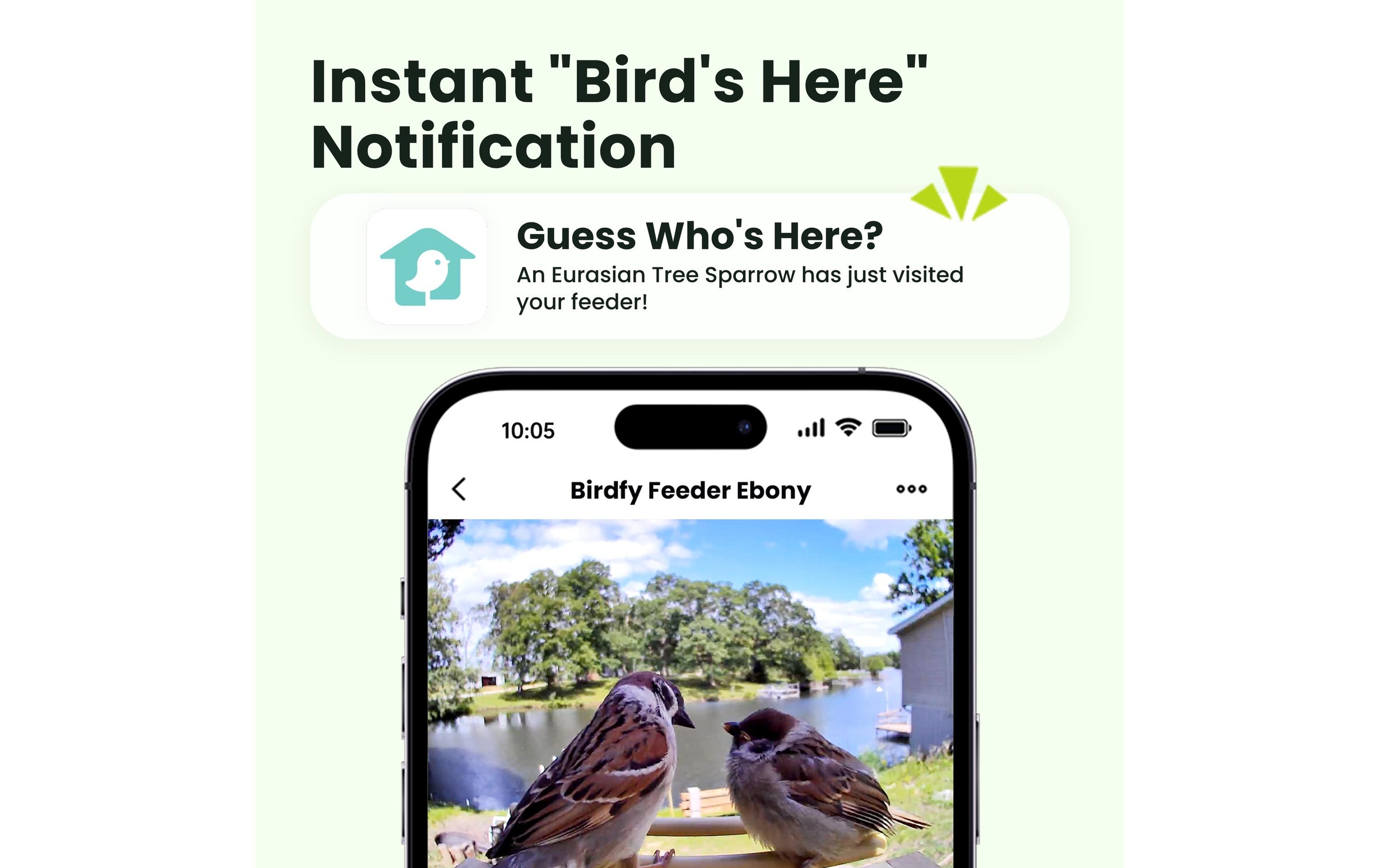 Birdfy Futterspender »mit AI-Kamera«
