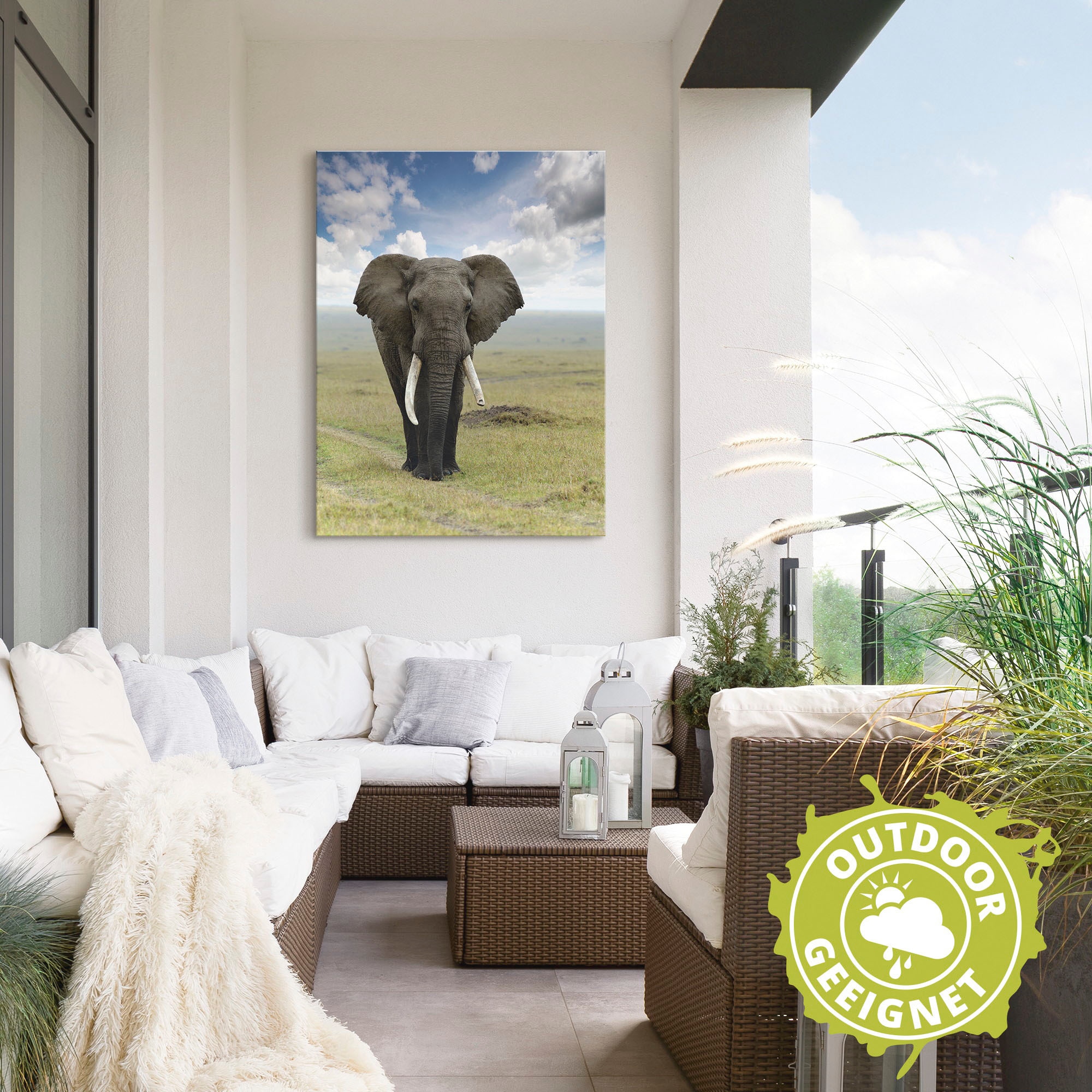 Artland Wandbild »Elefant« Wildtiere 1 Stk. tlg. als Alubild, Leinwandbild in verschied. Grössen
