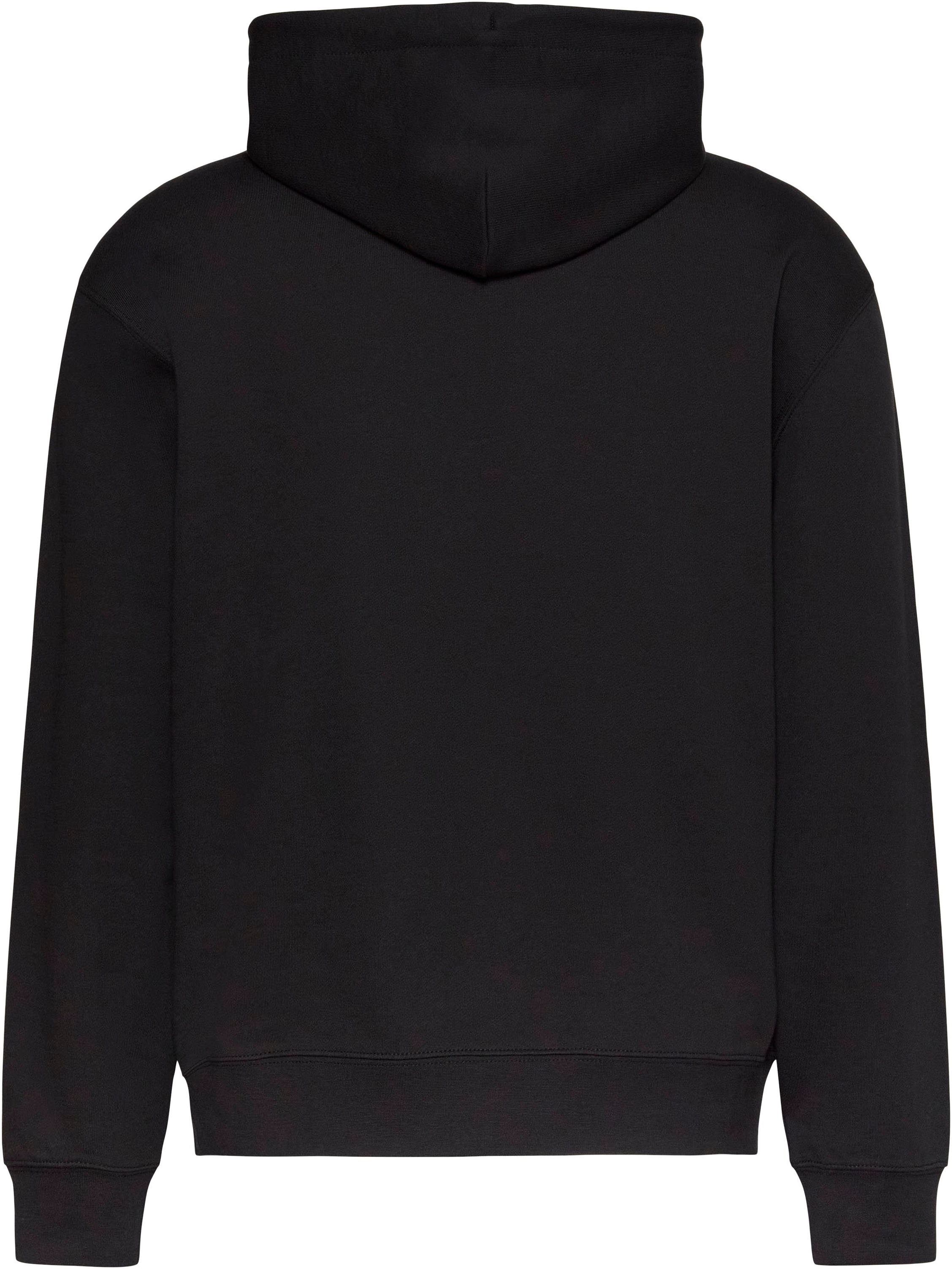 Calvin Klein Jeans Kapuzensweatshirt »LS EU 350TERRY HOODIE«, Regular fit mit Kapuze
