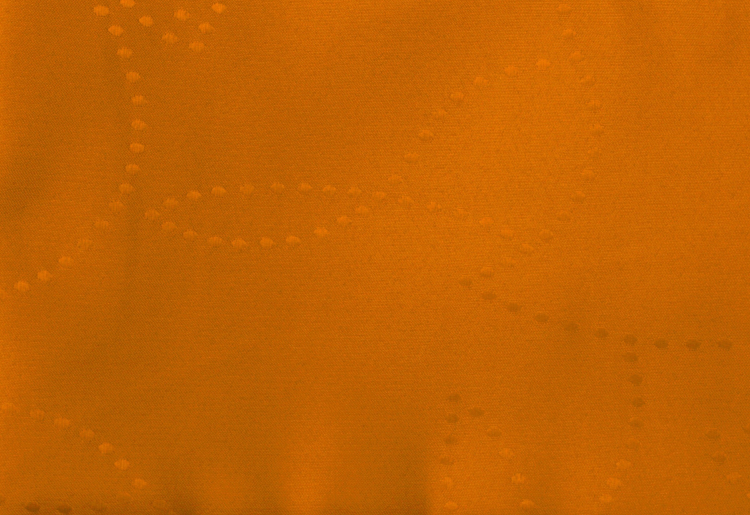 Wirth Vorhang »Janine« Schlaufen 1 Stk. tlg.