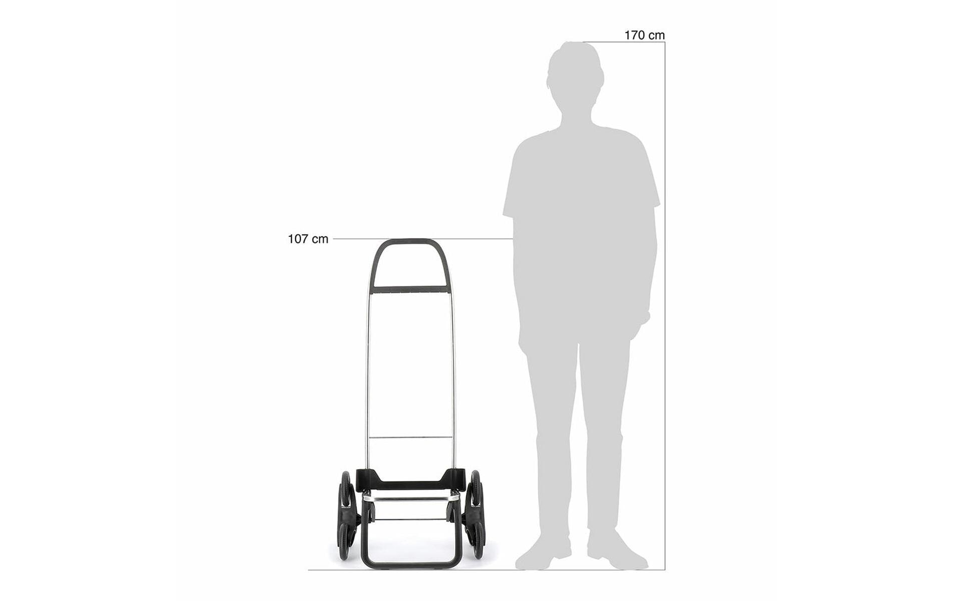 Rolser Chariot à provisions »IMAX MF 6«