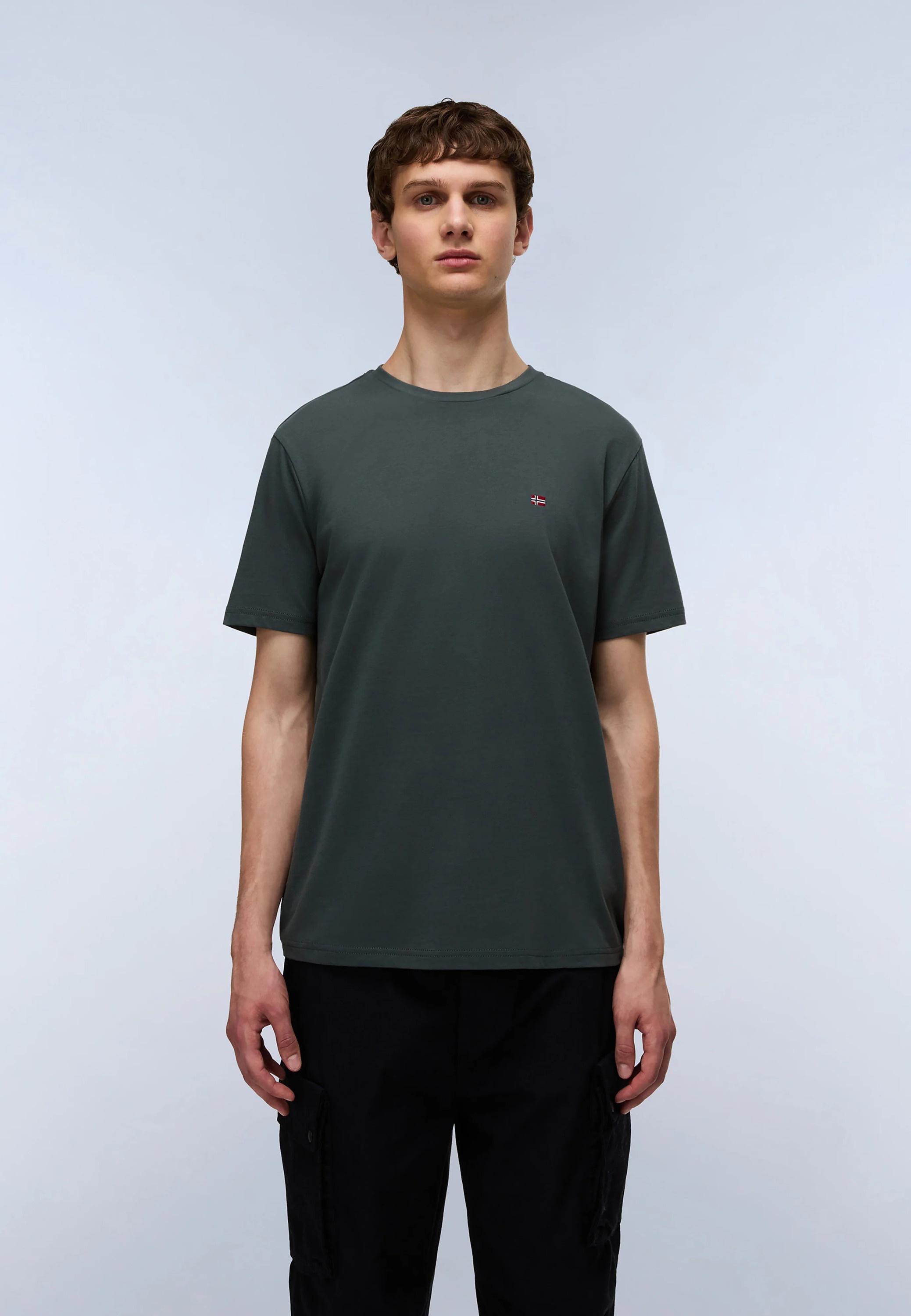 Napapijri T-Shirt »Napapijri T-Shirt SALIS SS«
