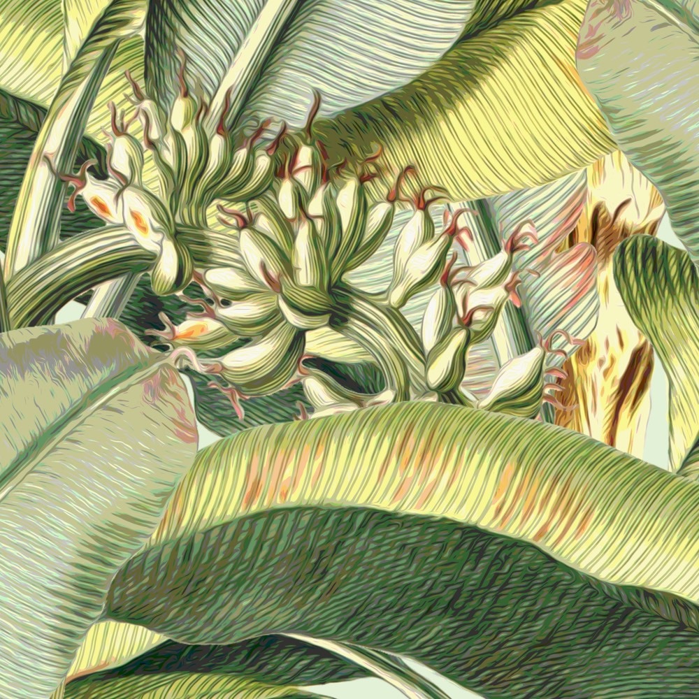 Komar Fototapete »Vlies Fototapete - Banana Grove - Grösse 200 x 250 cm« Motiv | bedruckt glatt