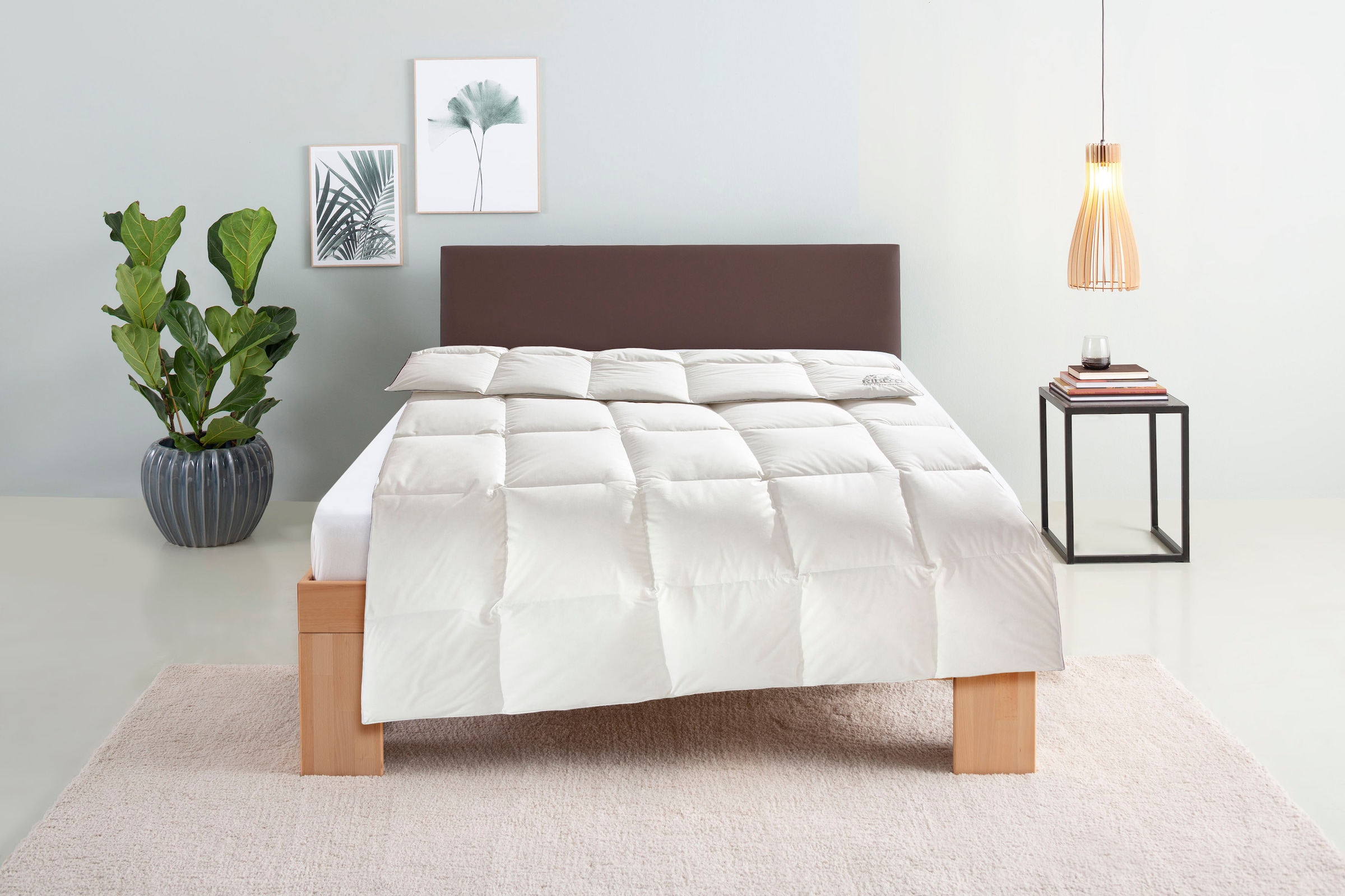 RIBECO Couette en duvet »Eve Bettdecke in 135x200 und 155x220cm und weiteren Grössen« léger Füllung 90 duvet 10 plumes 1 cuis tlg. meilleure vente, duvet et plumes, couette en duvet, couette en plumes, fabriqué en Allemagne