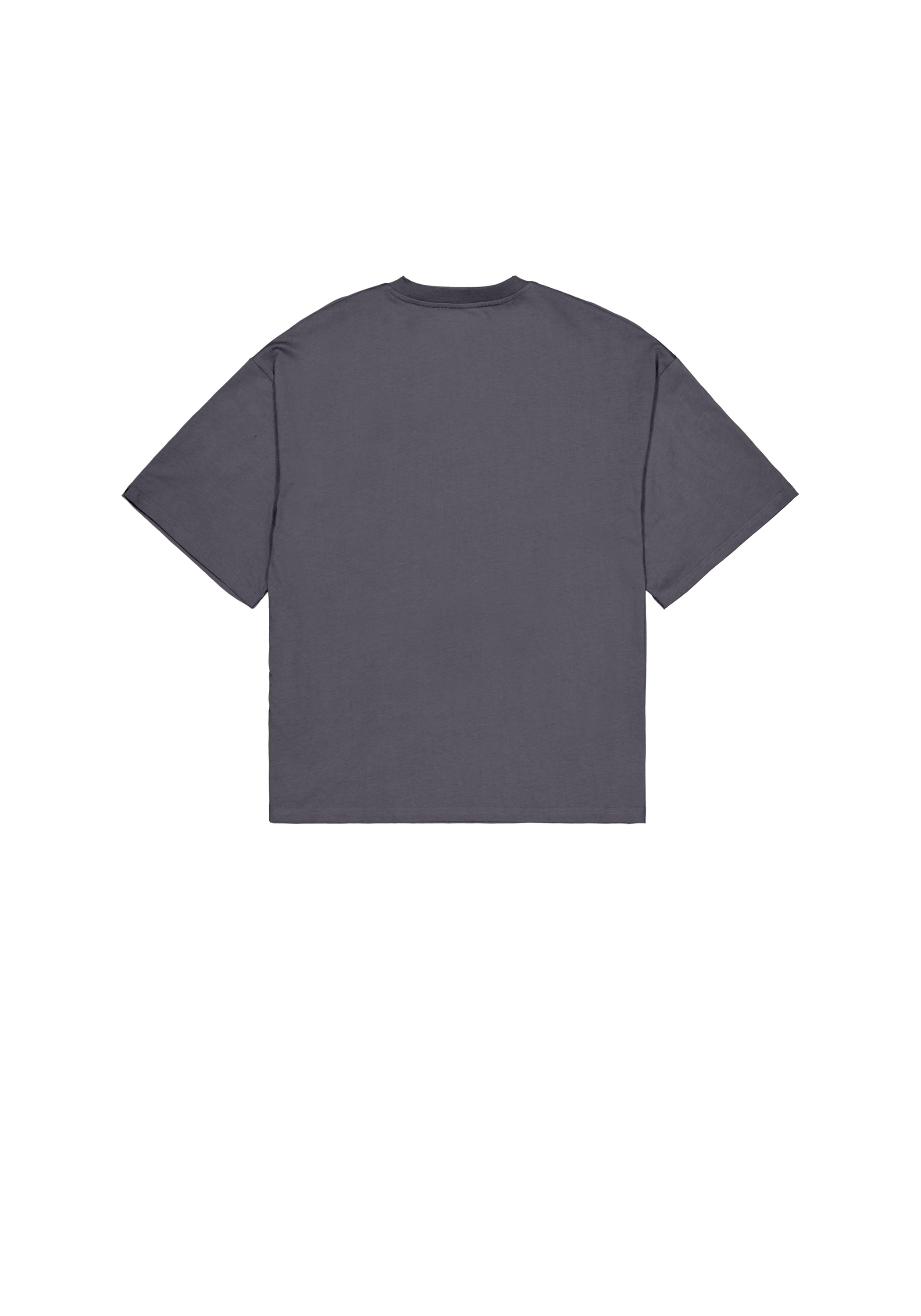 Alpha Industries T-Shirt »Studio Edition Vibe T-Shirt«
