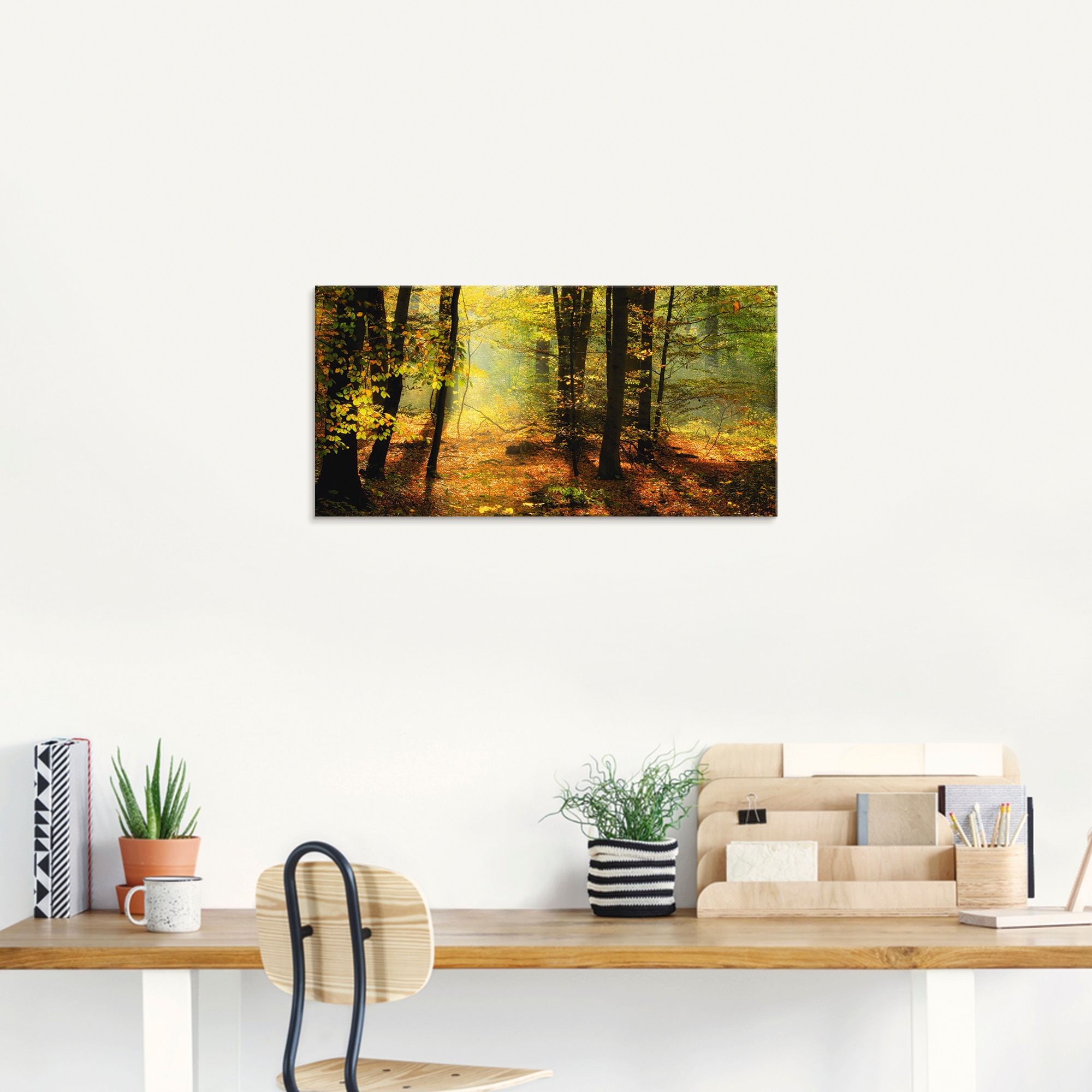 Artland Glasbild »Herbstlicht im Wald« Wald 1 Stk. tlg. in verschiedenen Grössen