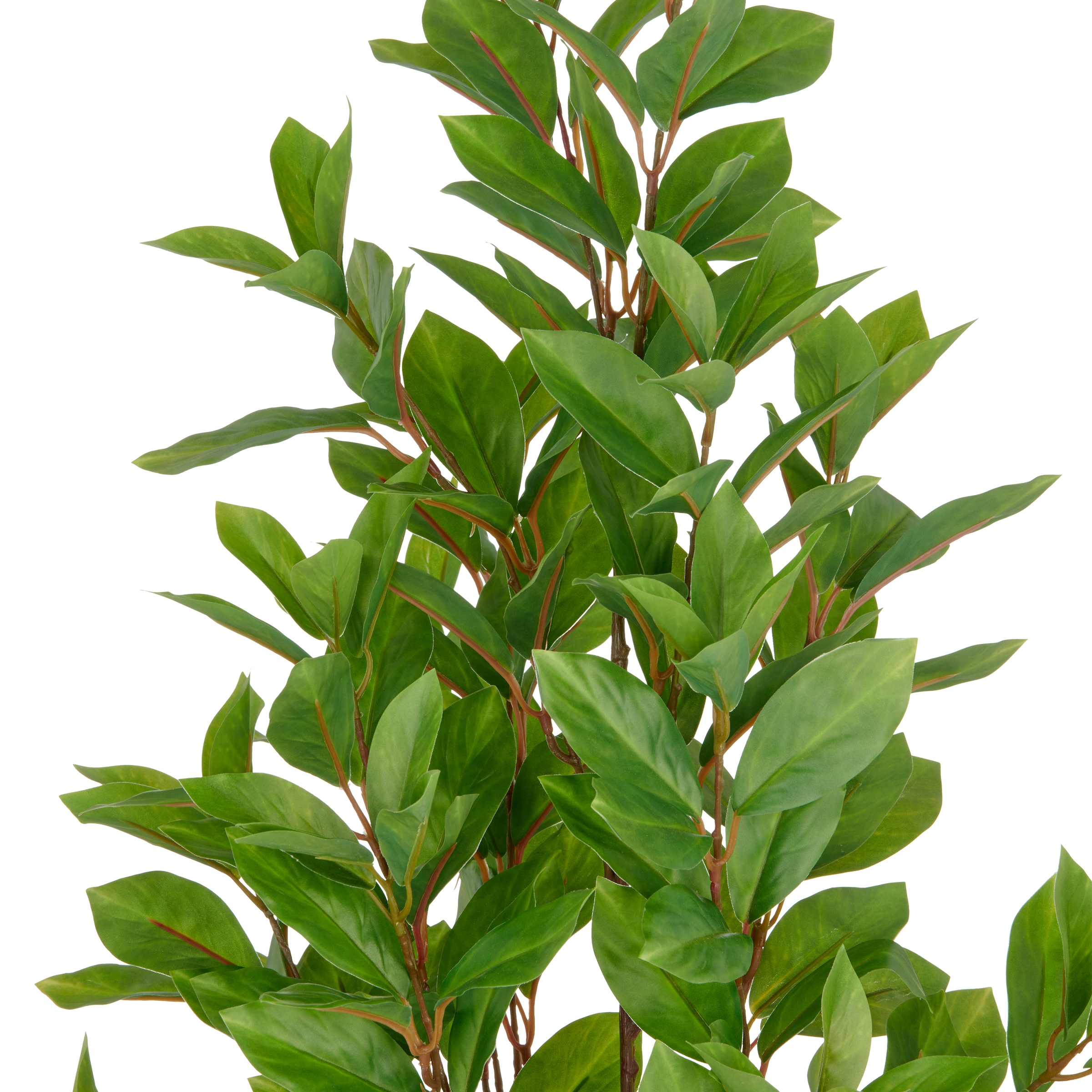 Creativ green Plante artificielle »Epipremnum« mit schönem Blattwerk