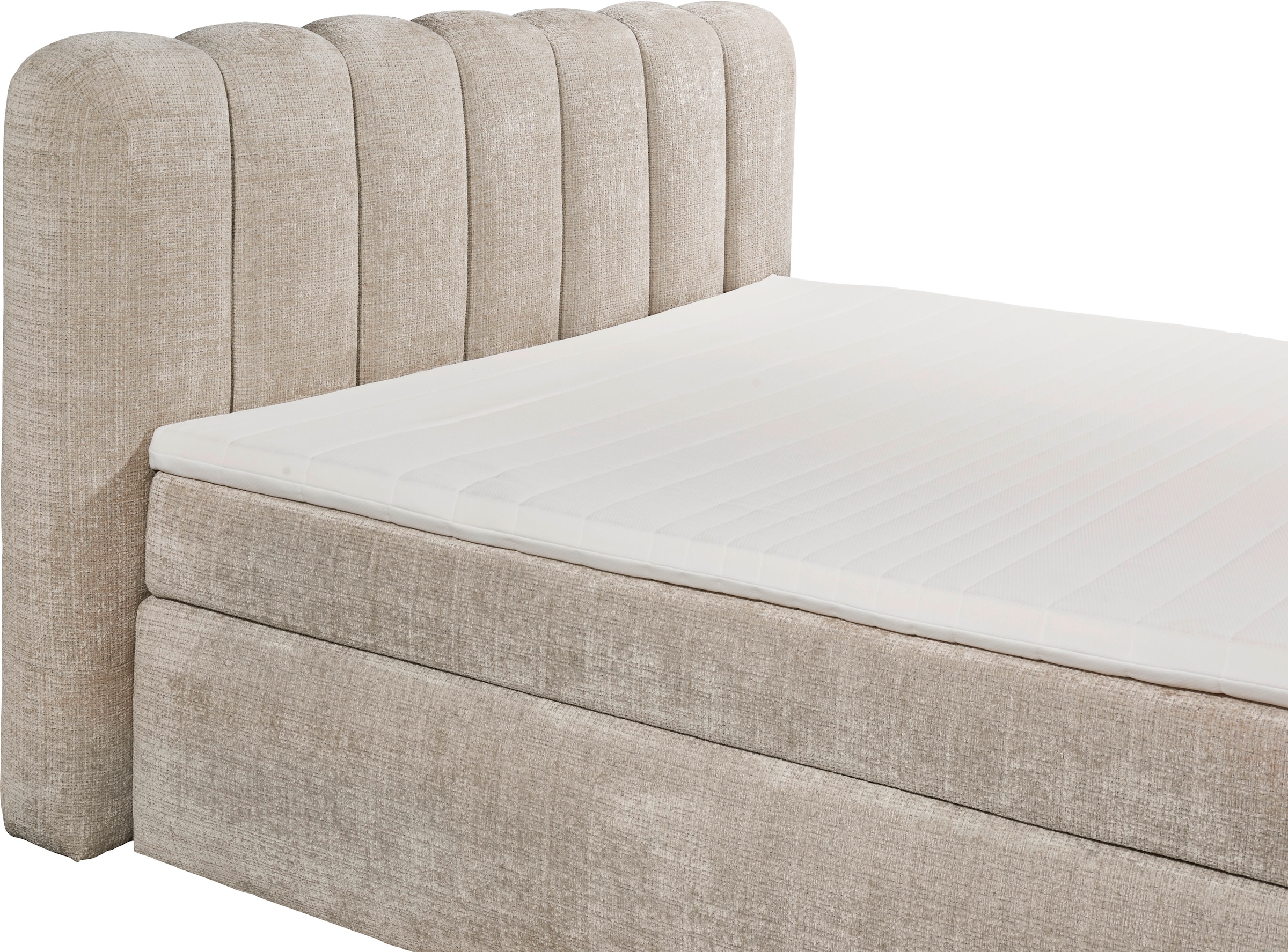 ED EXCITING DESIGN Boxspringbett »Gibsons in der Grösse 200x220cm, Überlänge« erhältlich in verschiedenen Farben