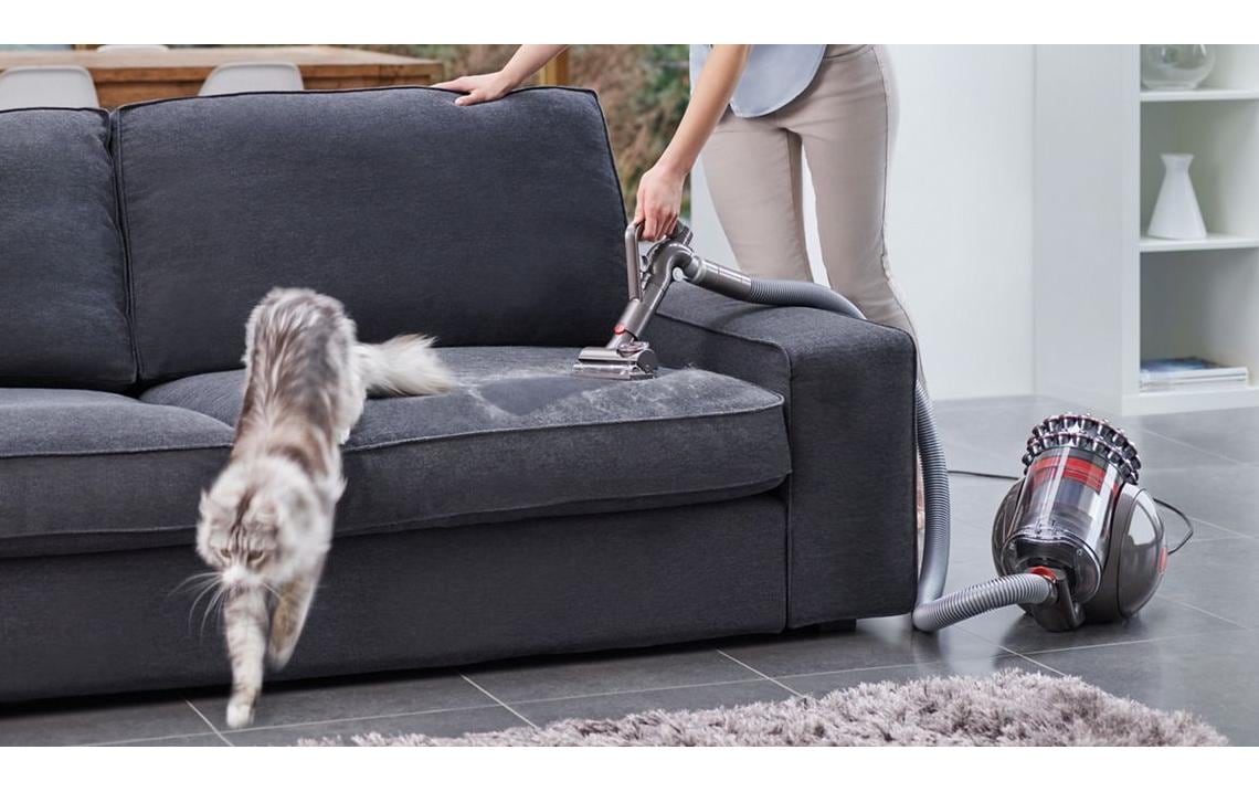 DYSON Aspirateur pour sols »Cinetic Big Ball Absolute 2« 700 W