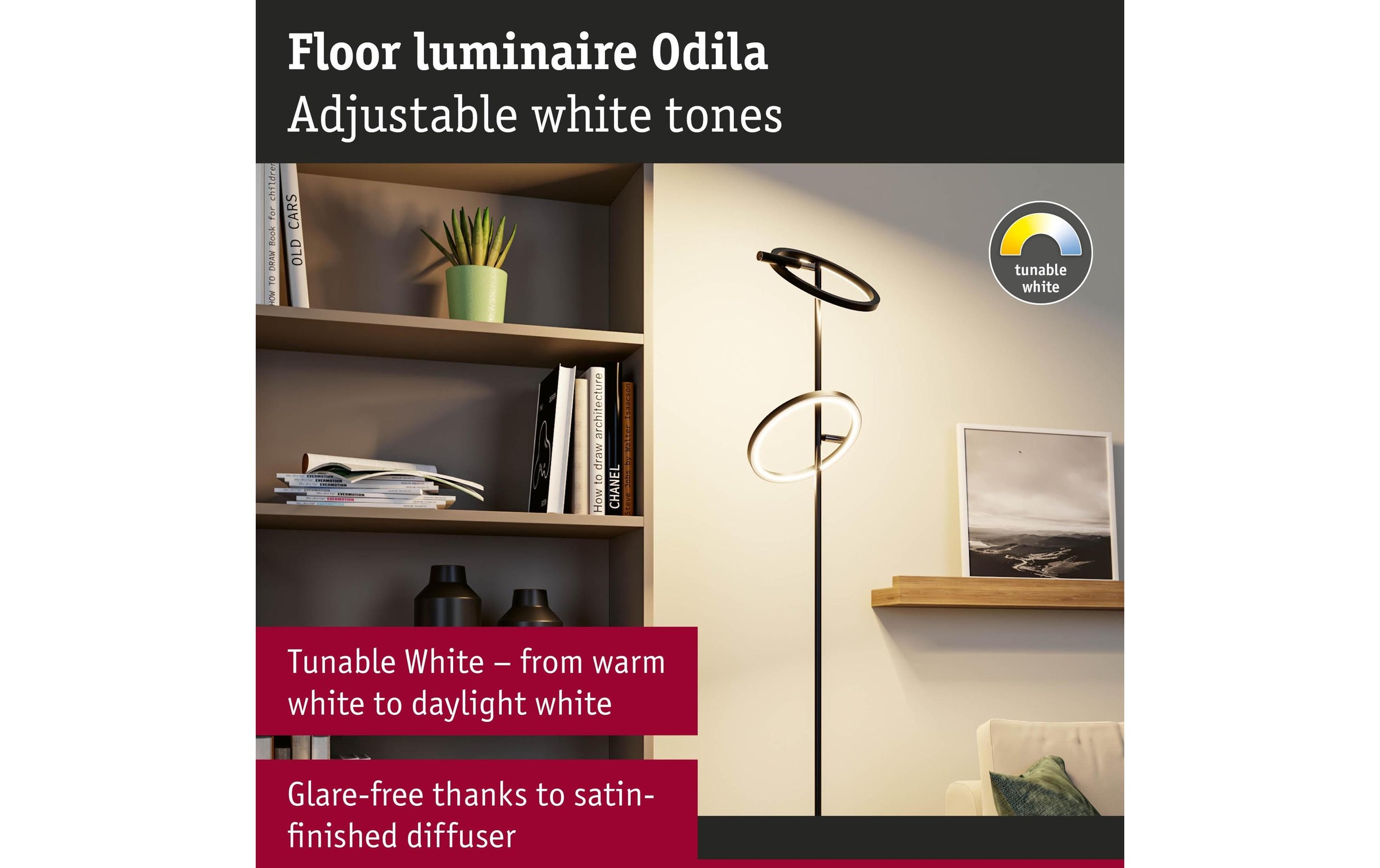 Paulmann Lampadaire à LED »Stehleuchte Odila, Schwarz matt« Module LED blanc chaud - blanc froid