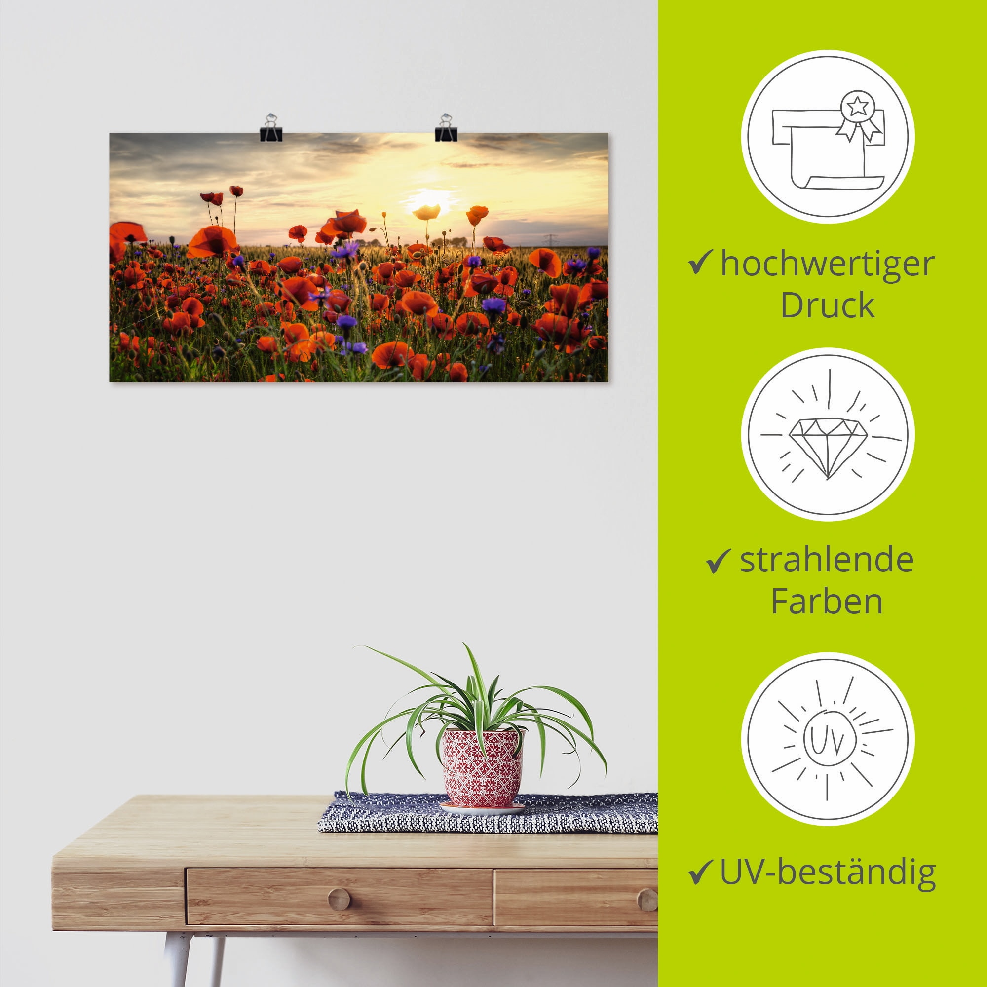 Artland Wandbild »Mohnblumen« Blumen 1 Stk. tlg. als Alubild, Leinwandbild, Poster in verschied. Grössen