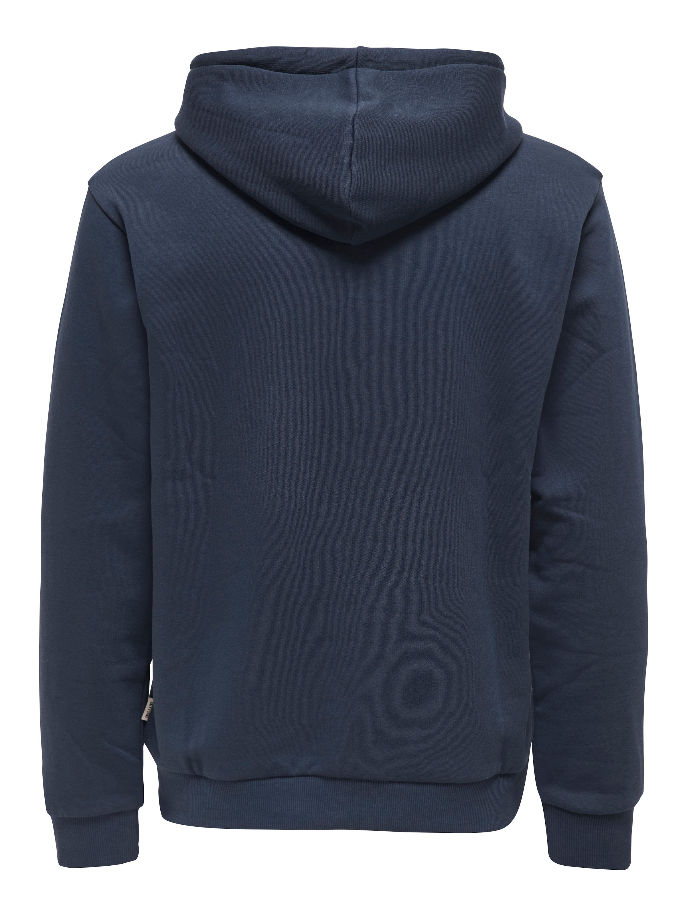 ONLY & SONS Sweat à capuche »ONSCERES ZIP THR. HOODIE SWEAT NOOS«