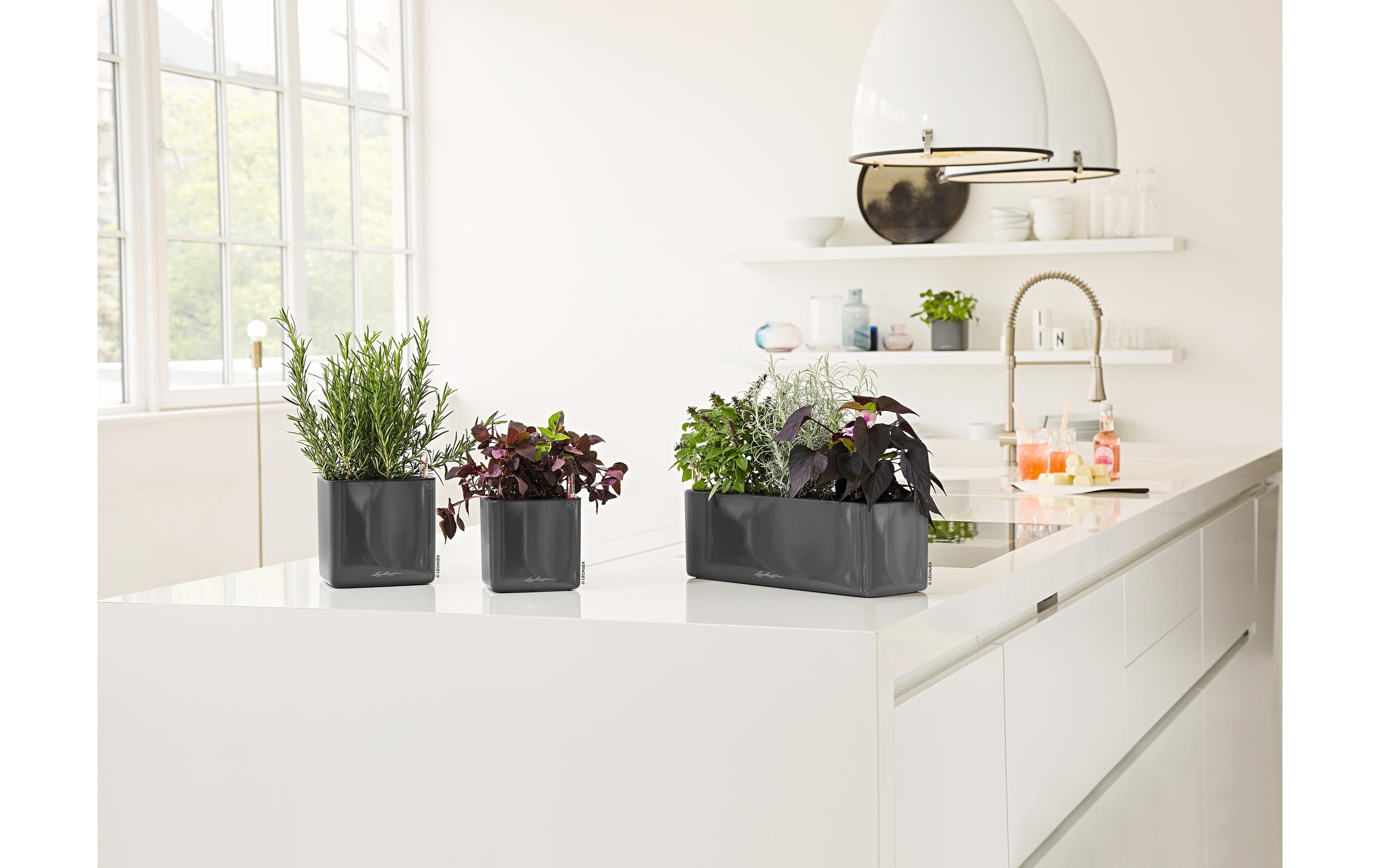   Pot de fleurs »Lechuza CUBE Glossy 14«