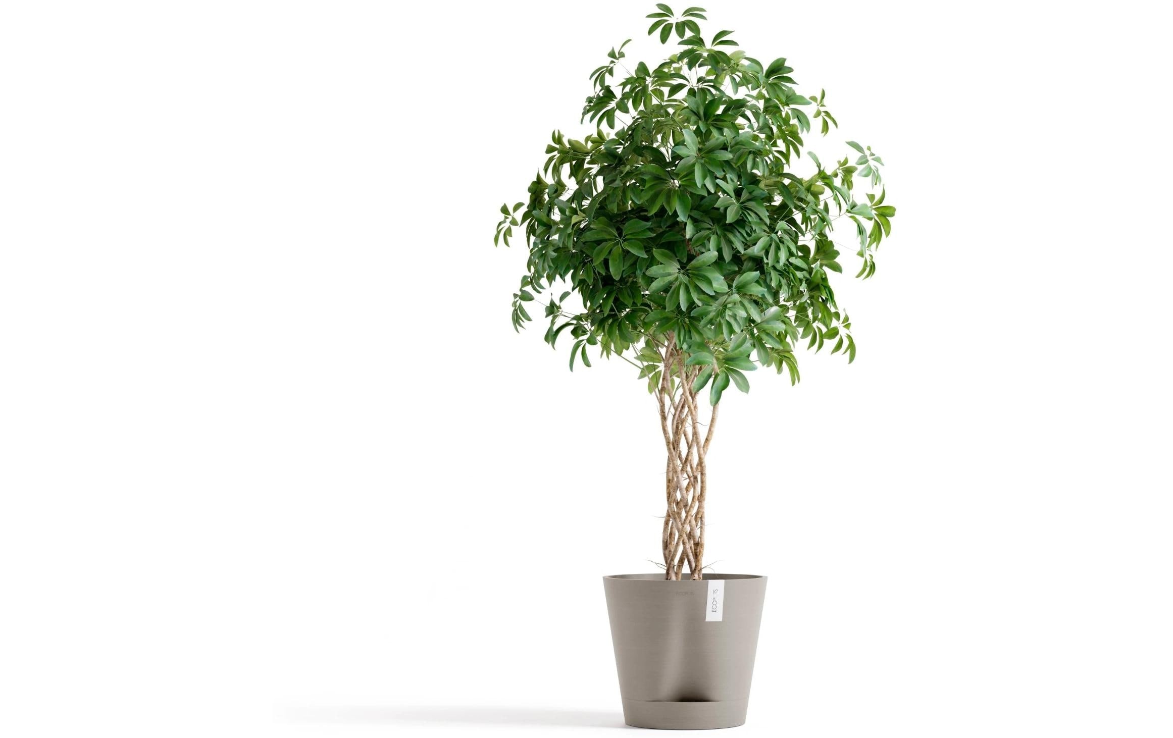 ECOPOTS Blumentopf »Venice 2 Ø 40 cm«