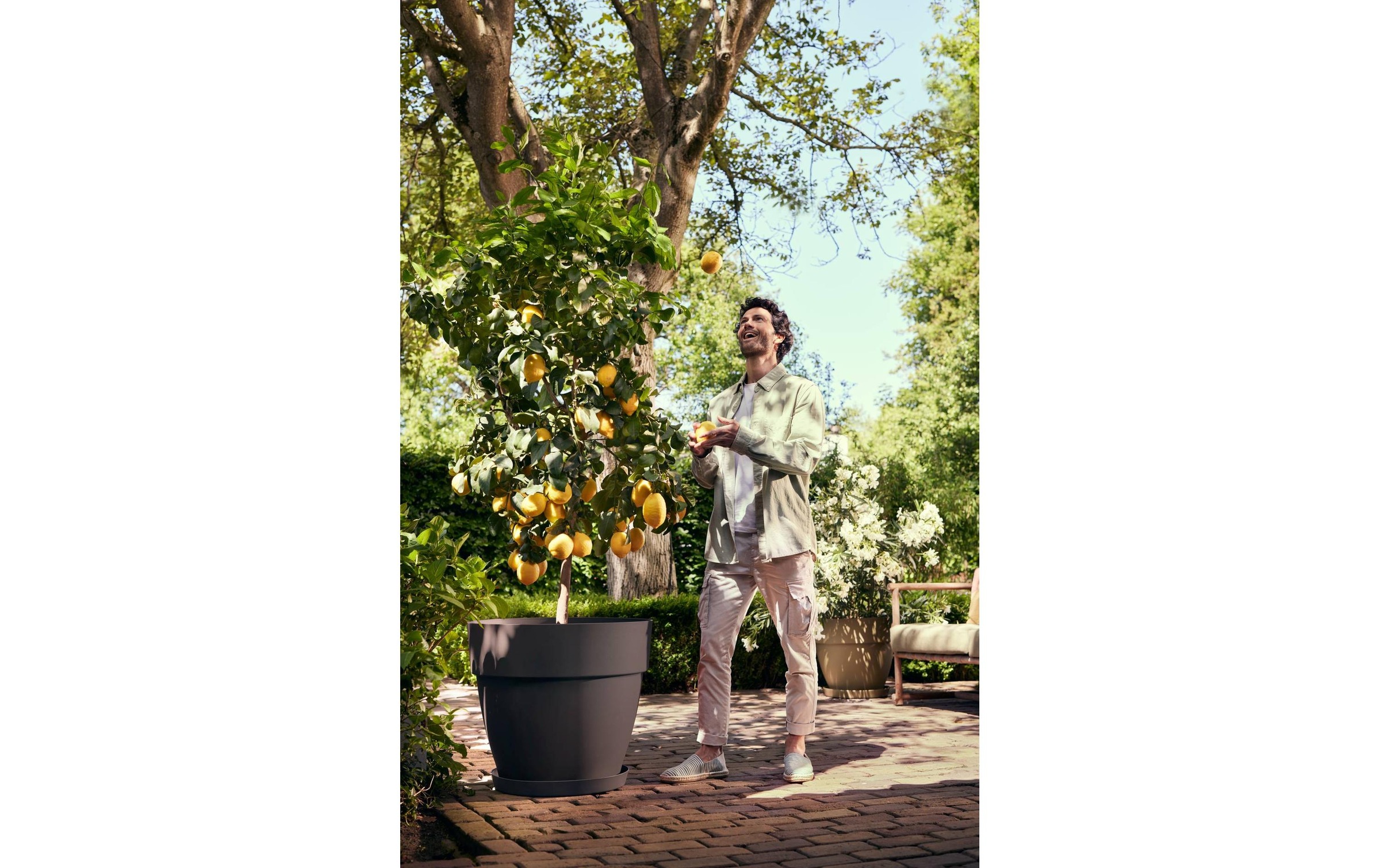 Elho Pot de fleurs »Vibia Campana Rund 65 cm«