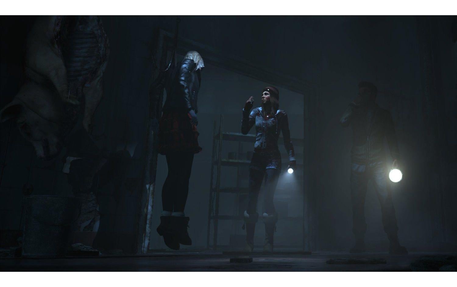 Sony Spielesoftware »Until Dawn« PlayStation 4